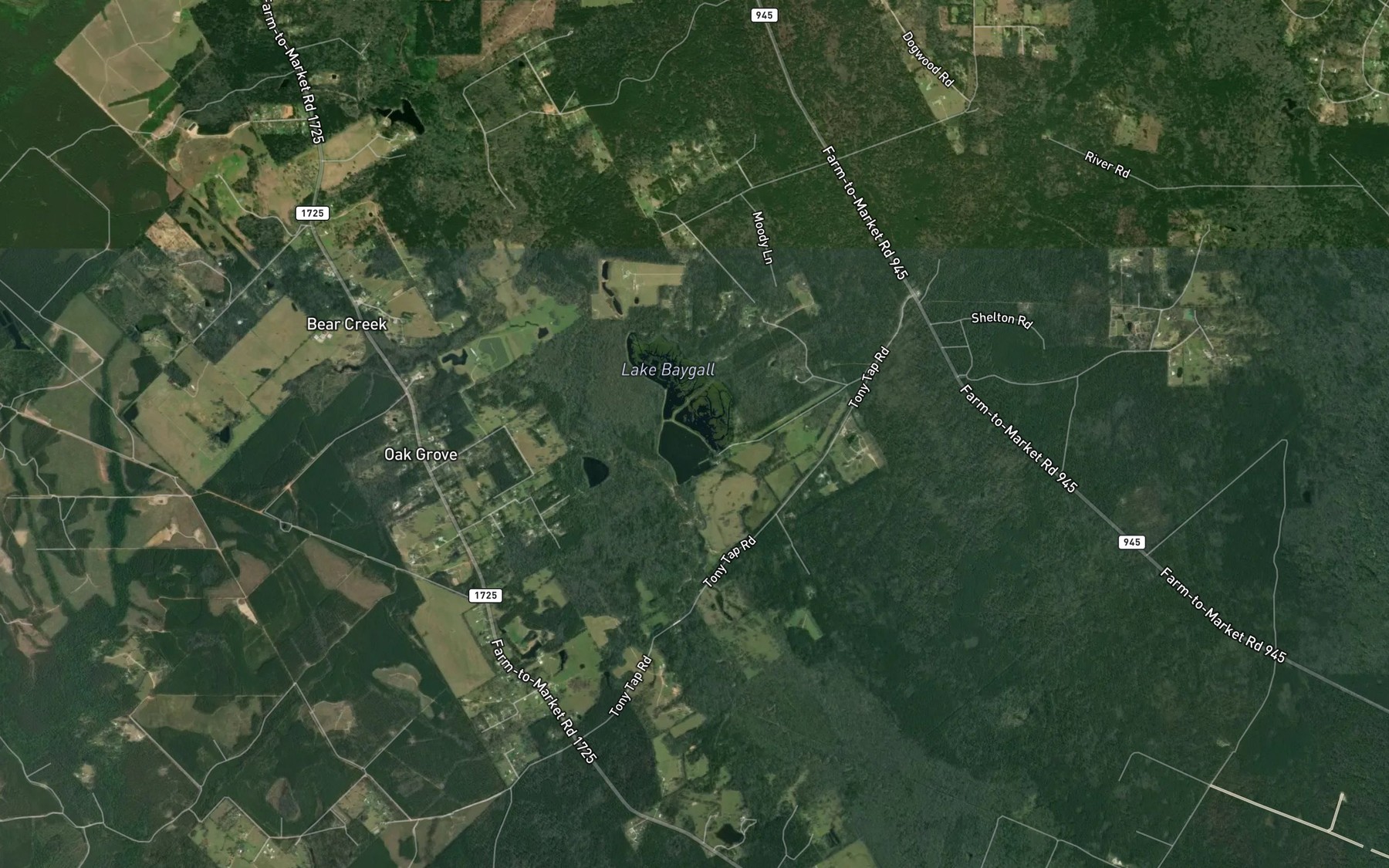 Satellite map of the Williams Lake