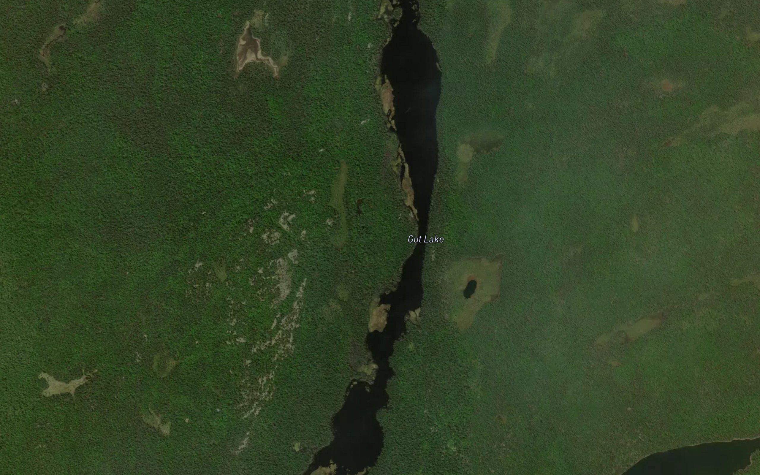 Gut Lake
