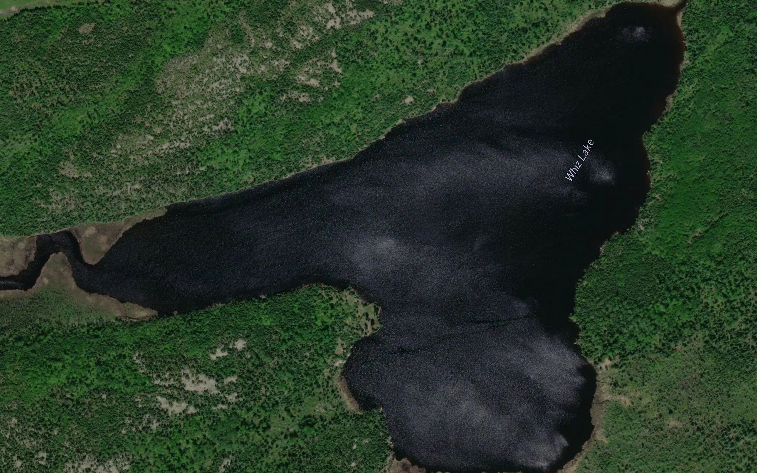 Whiz Lake