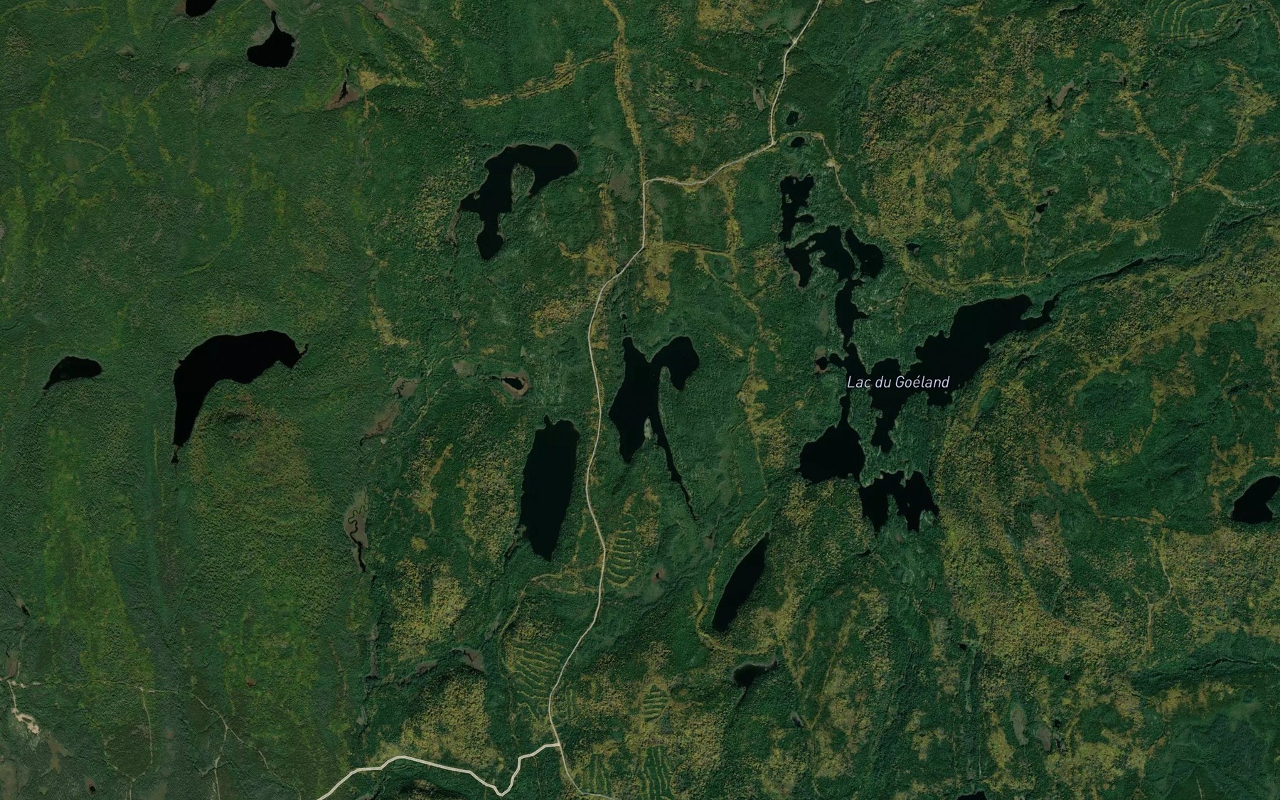 Satellite map of the Lac aux Noisettes