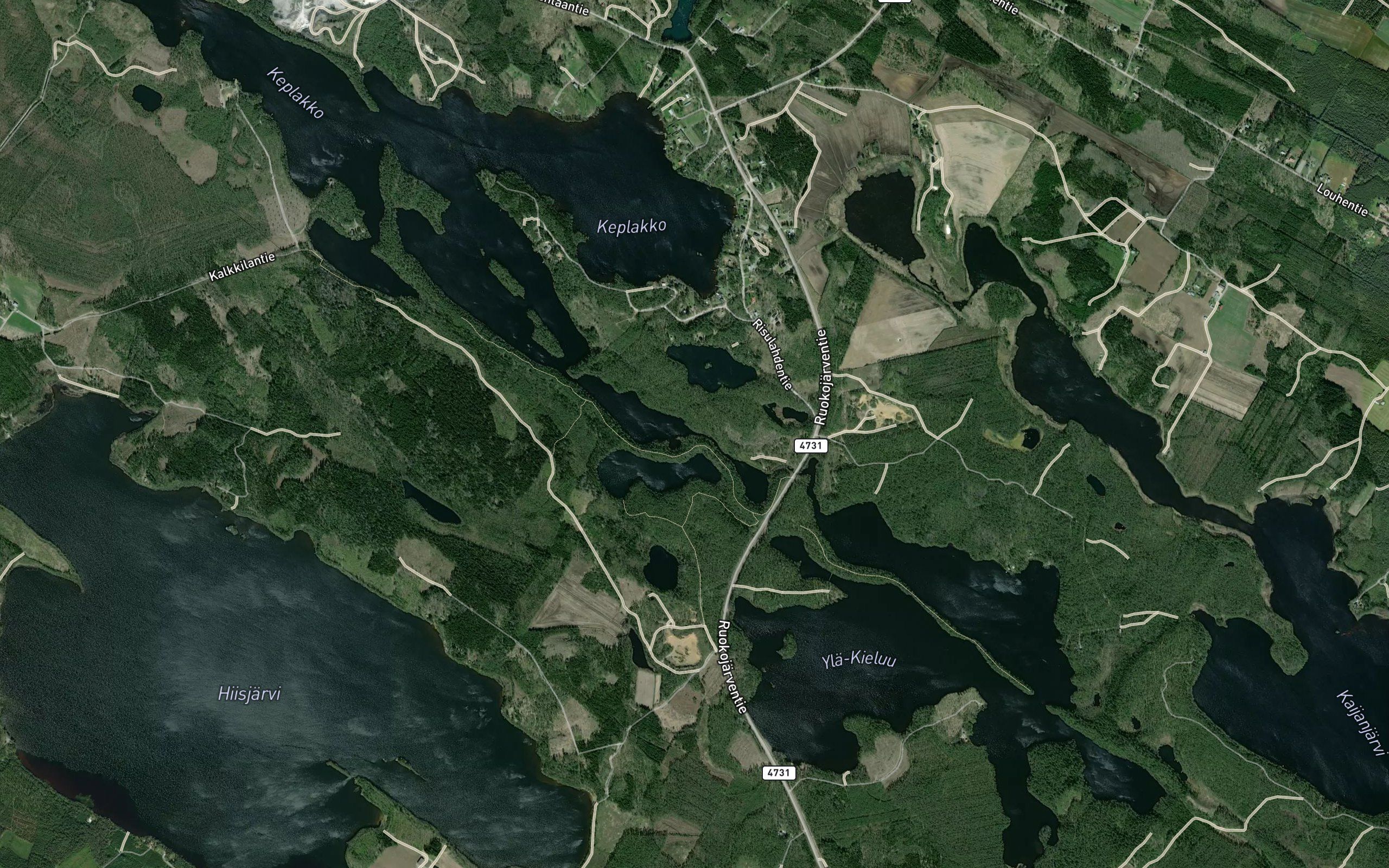 Kohojoki