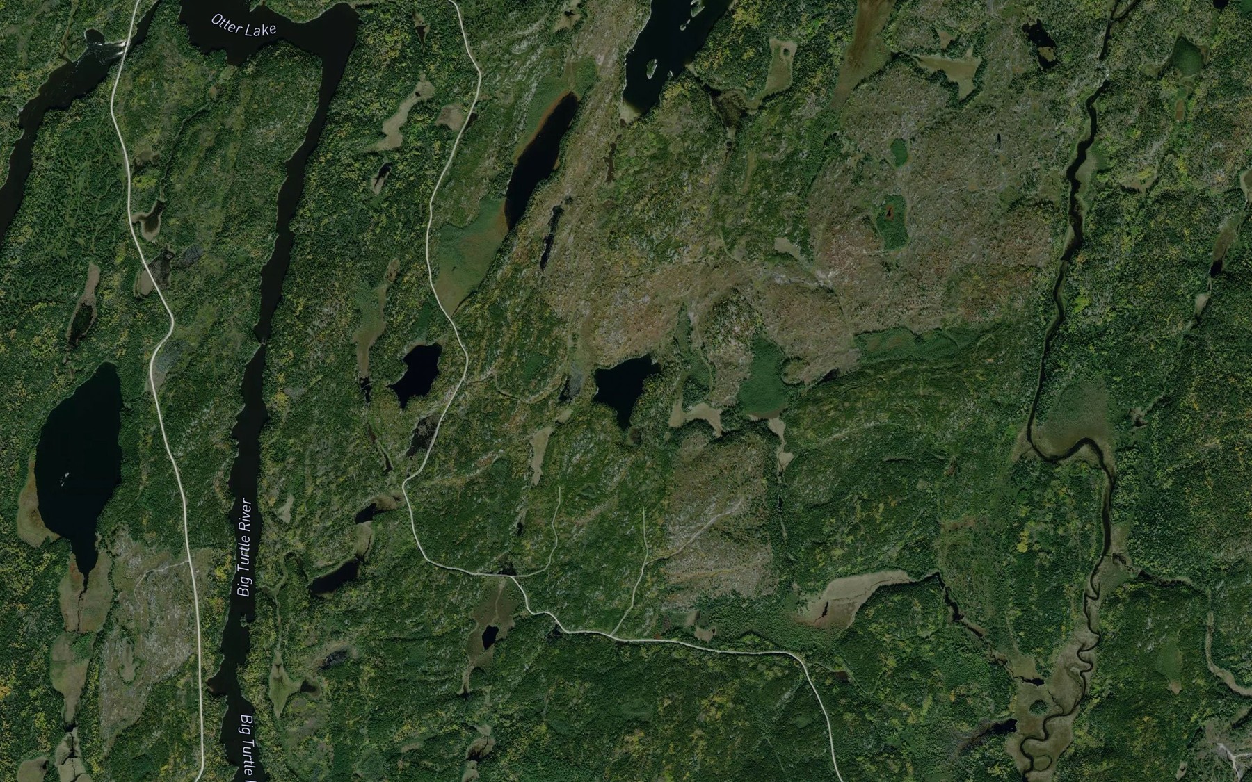Satellite map of the Tyne Lake