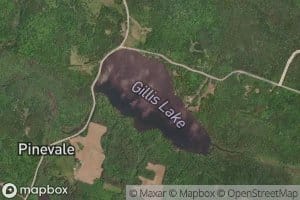 Gillis Lake