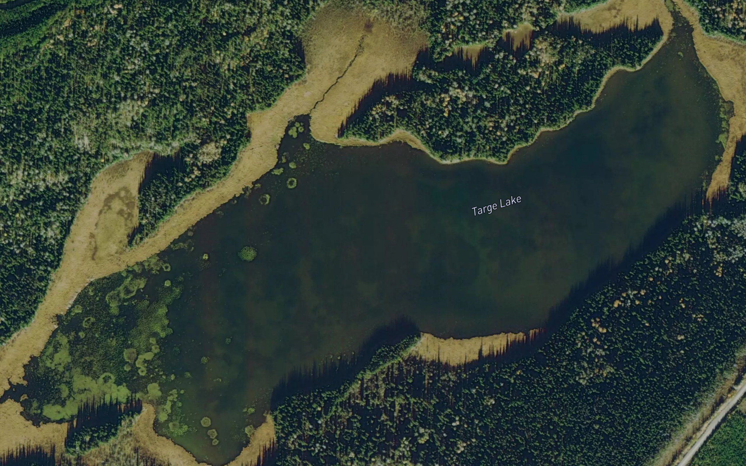 Targe Lake