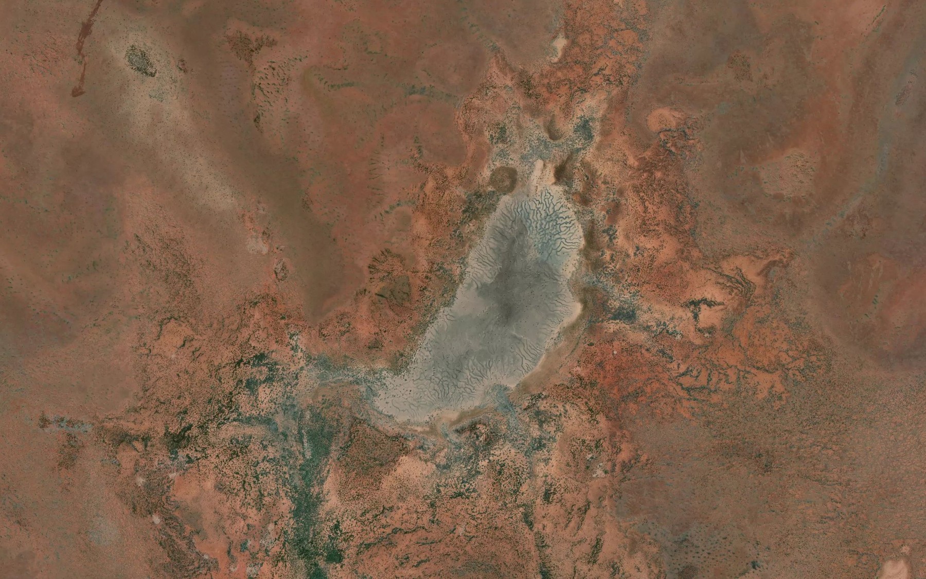 Satellite map of the Lake Hancock