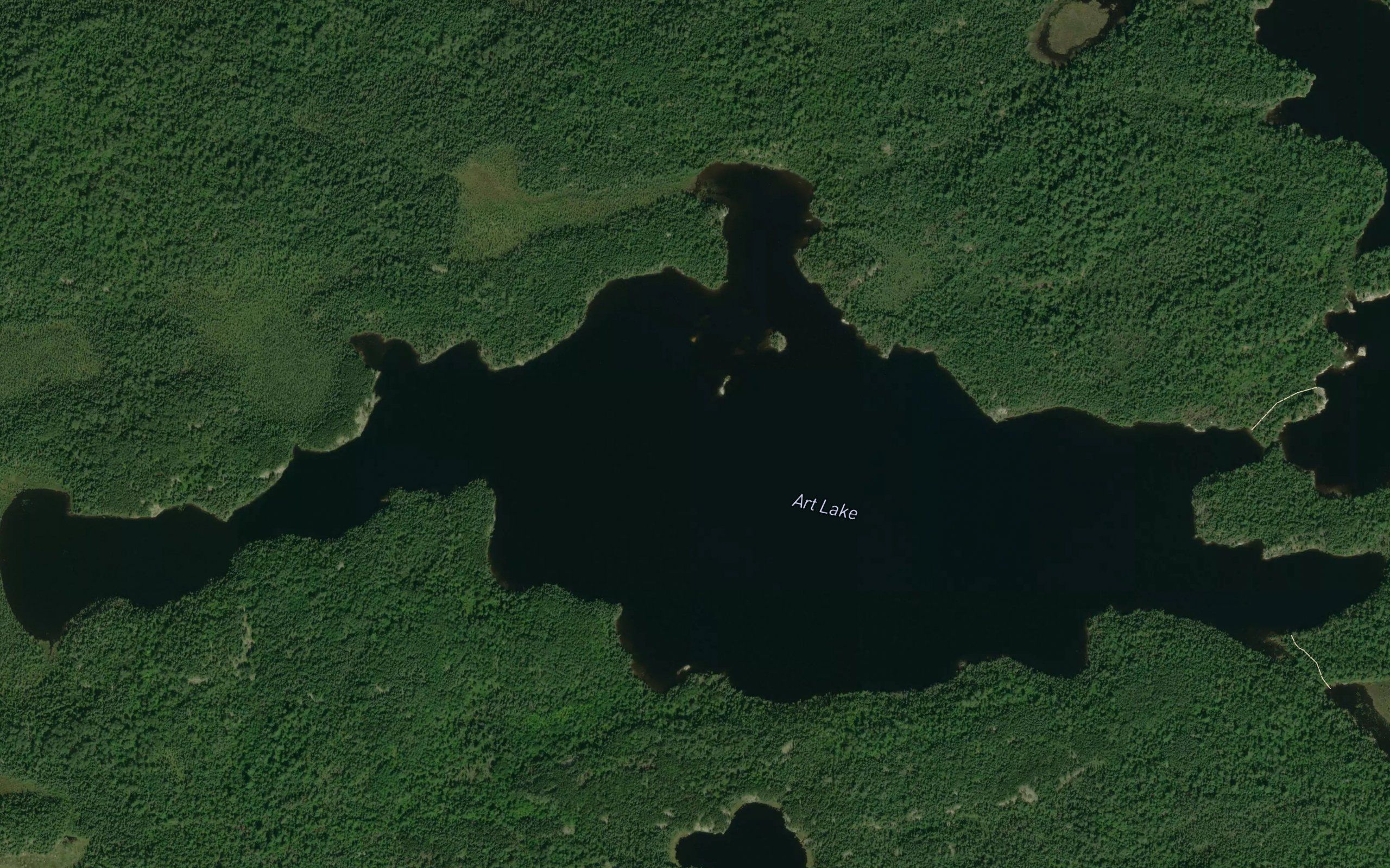 Art Lake
