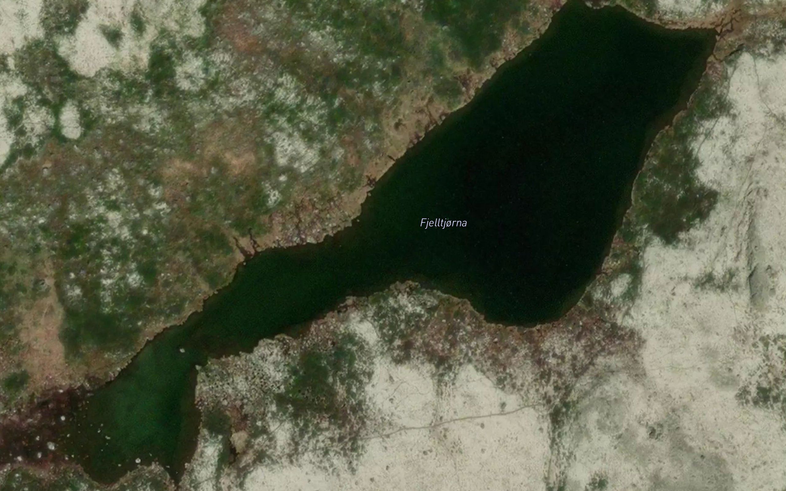 Fjelltjorna