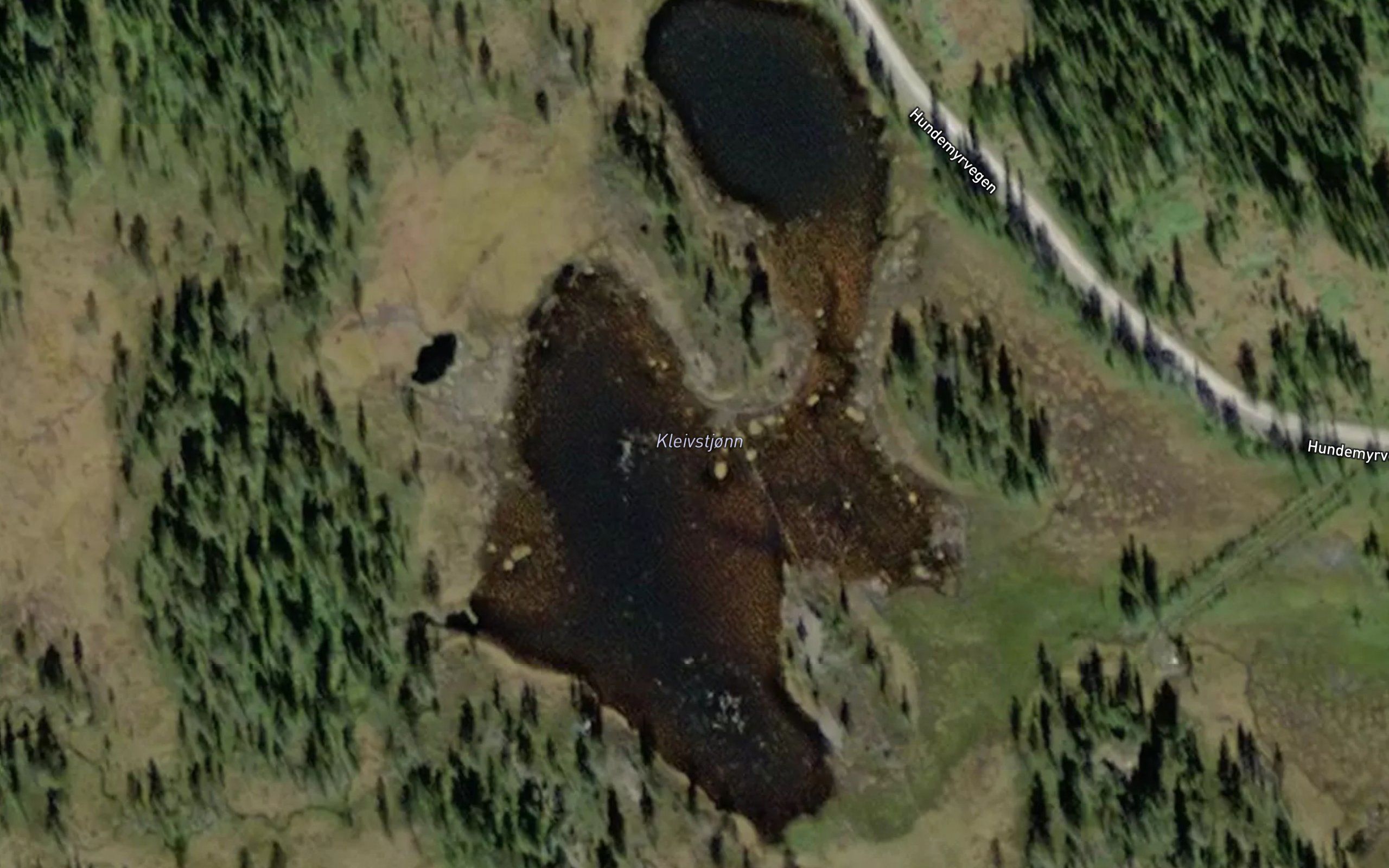 Kleivstjonn