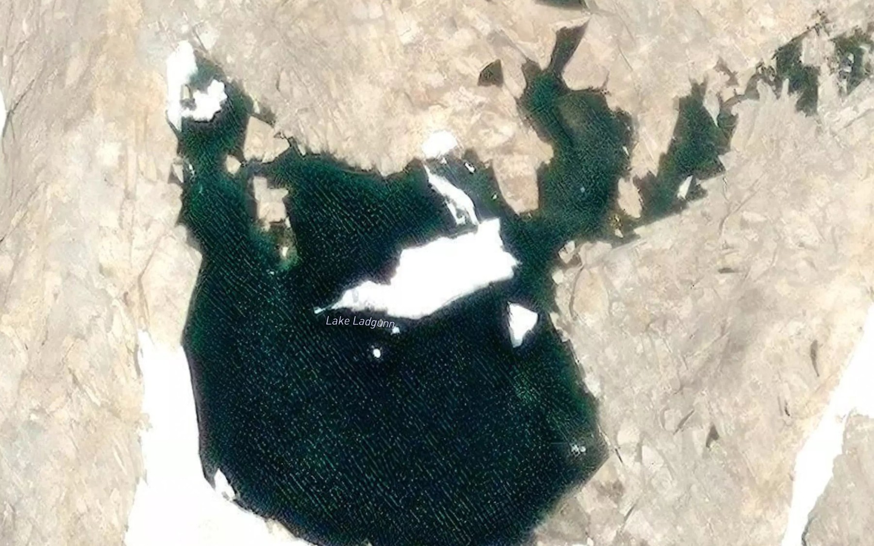 Satellite map of the Lake Ladgunn
