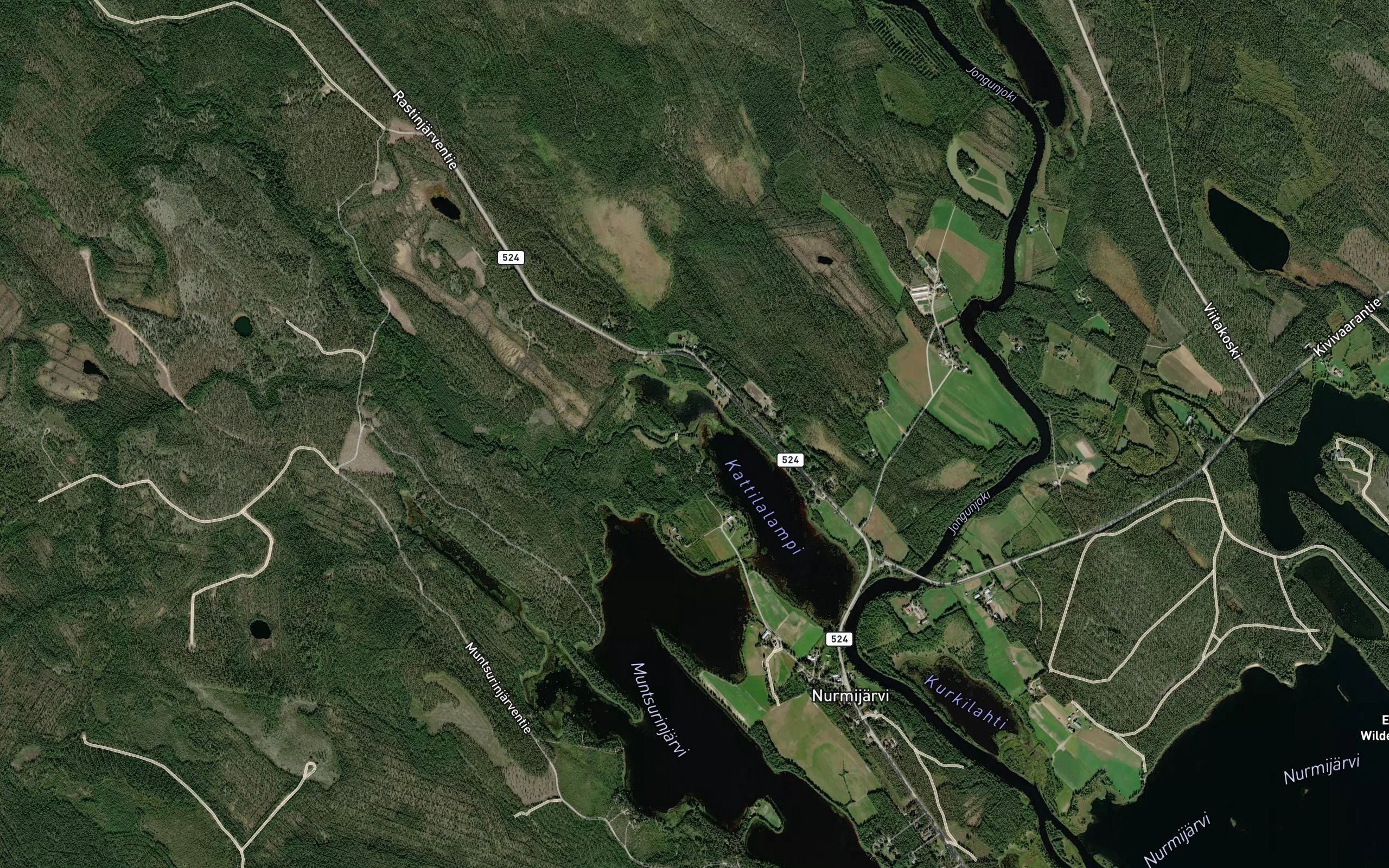 Talviaisjoki