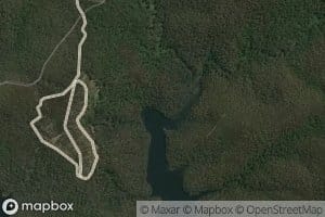 East Branch Rintouls Creek