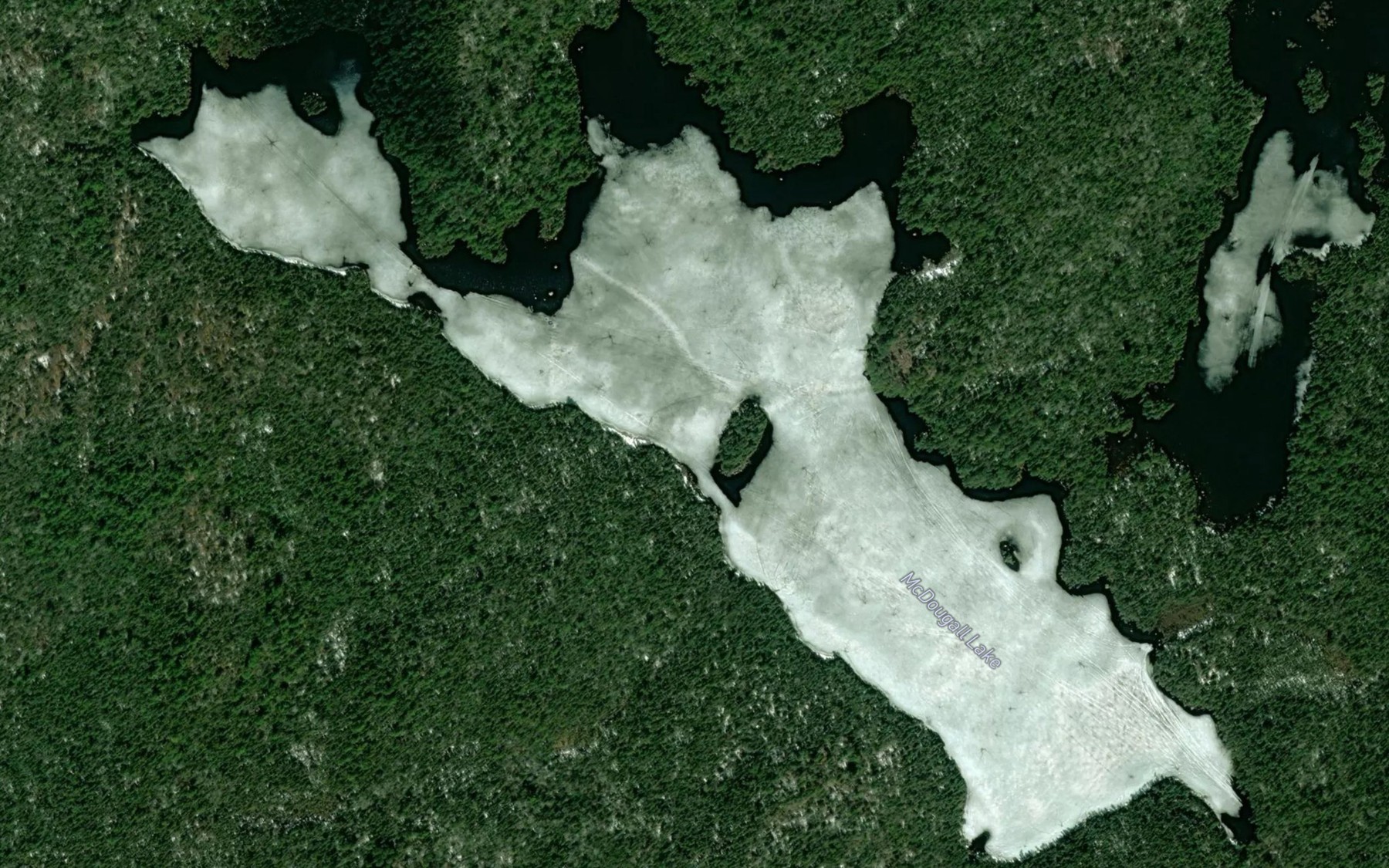 Satellite map of the McDougall Lake