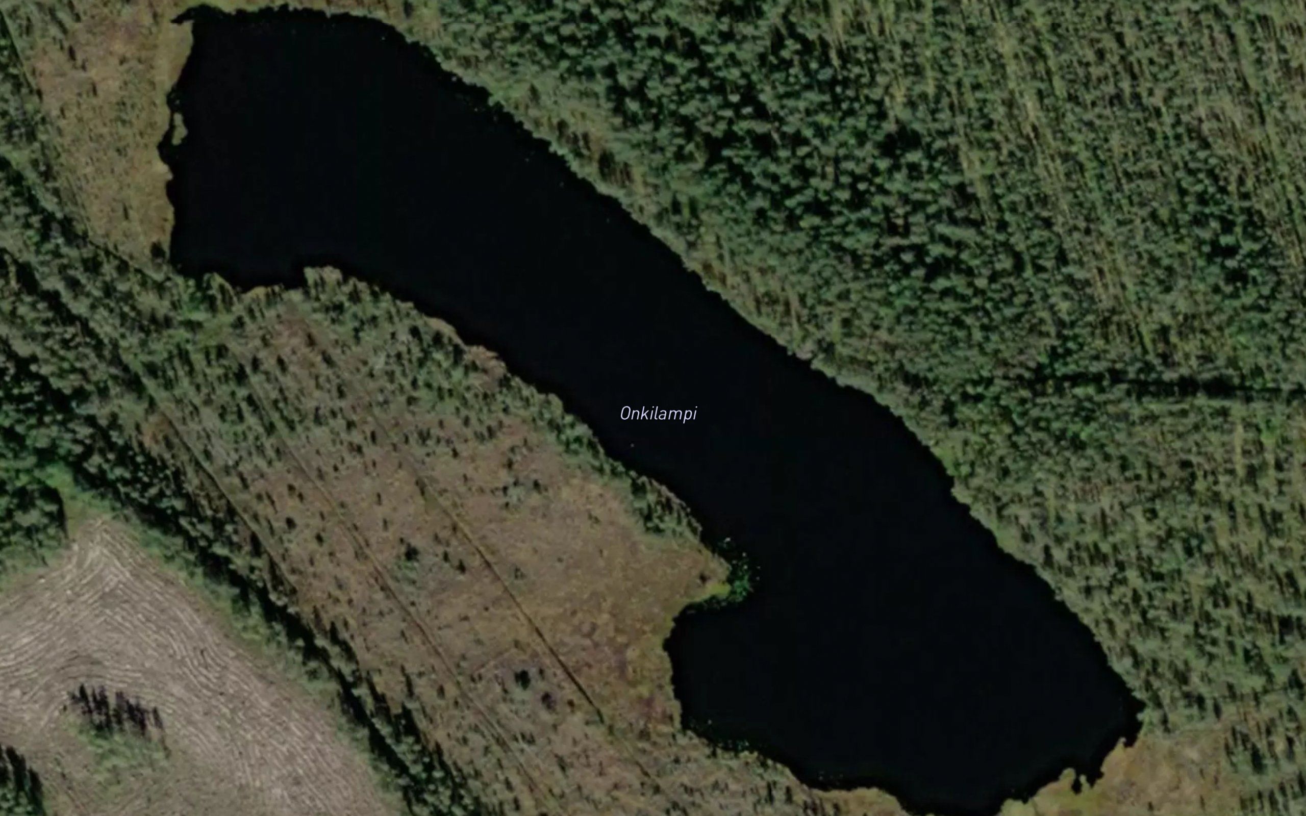 Onkilampi