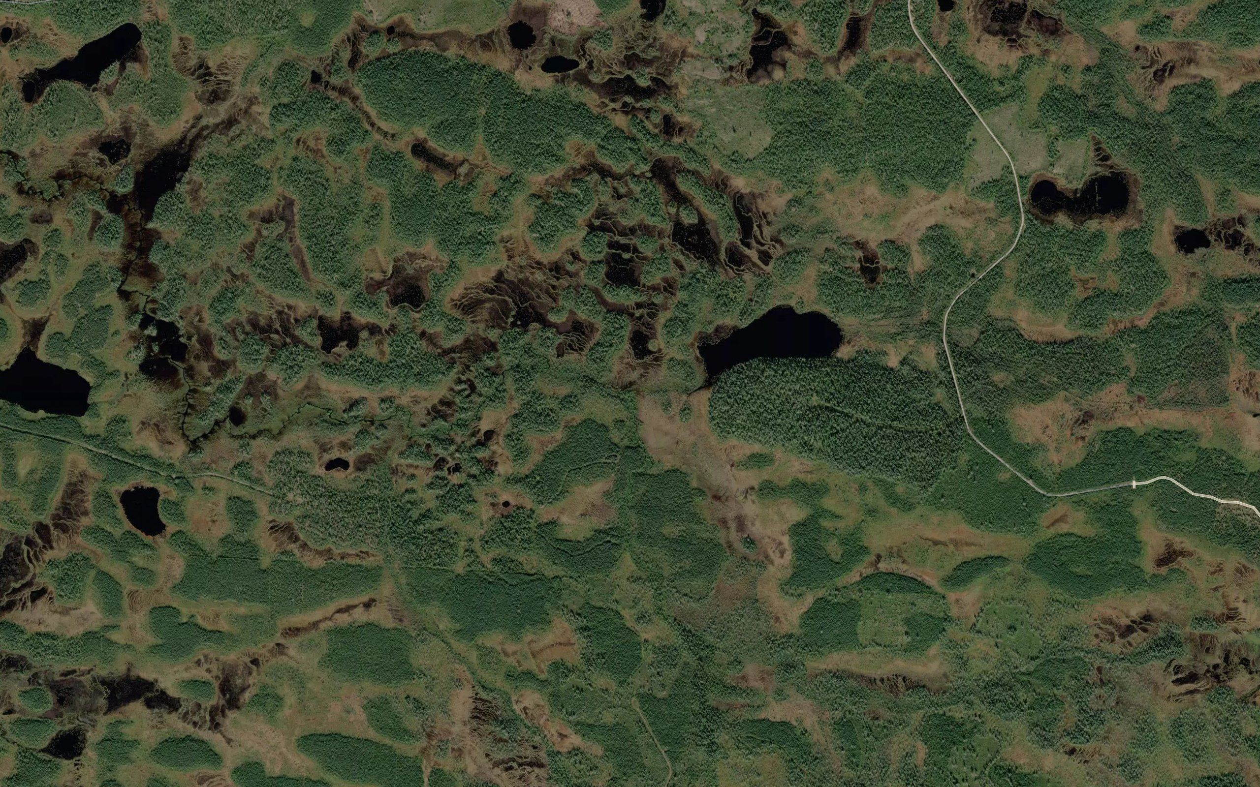 Joutsenkorvenoja