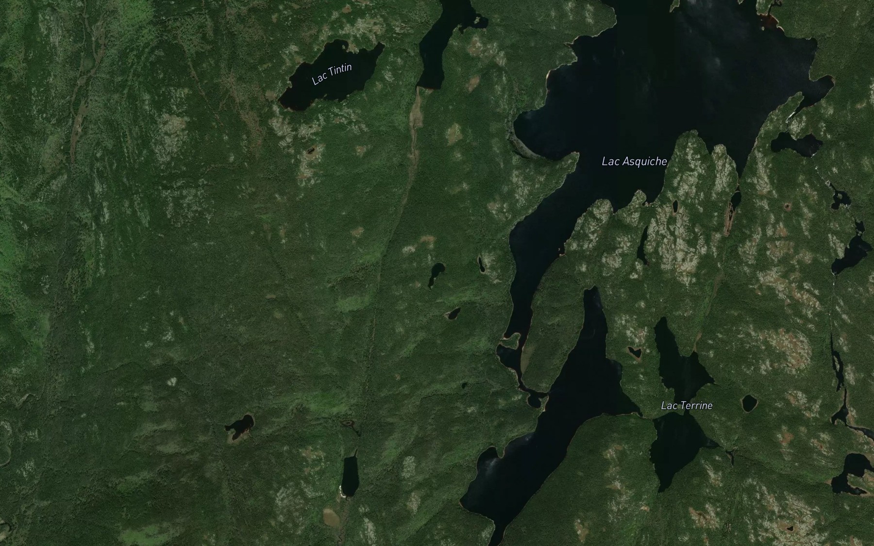 Satellite map of the Lac Bonhomme
