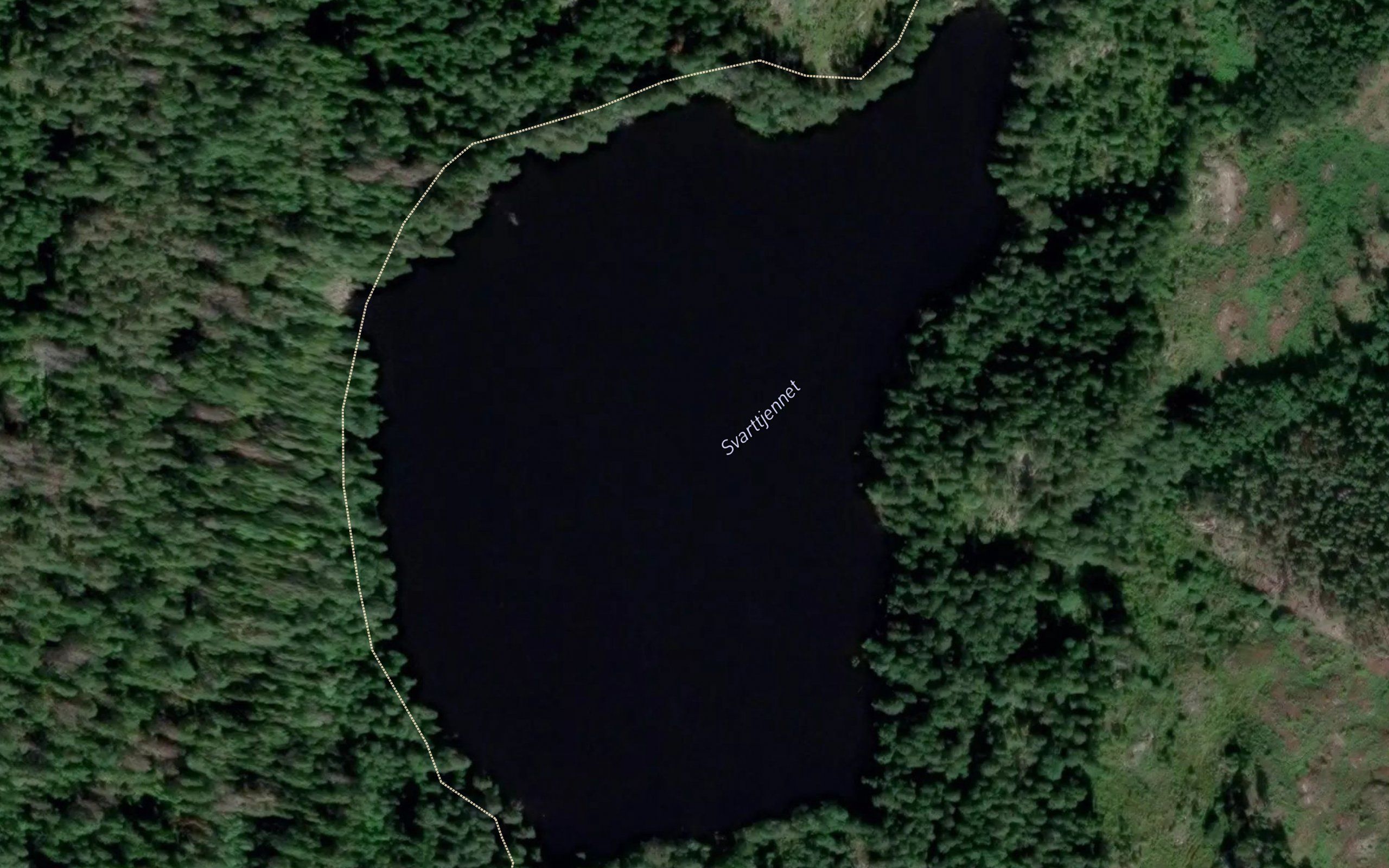 Svarttjernet