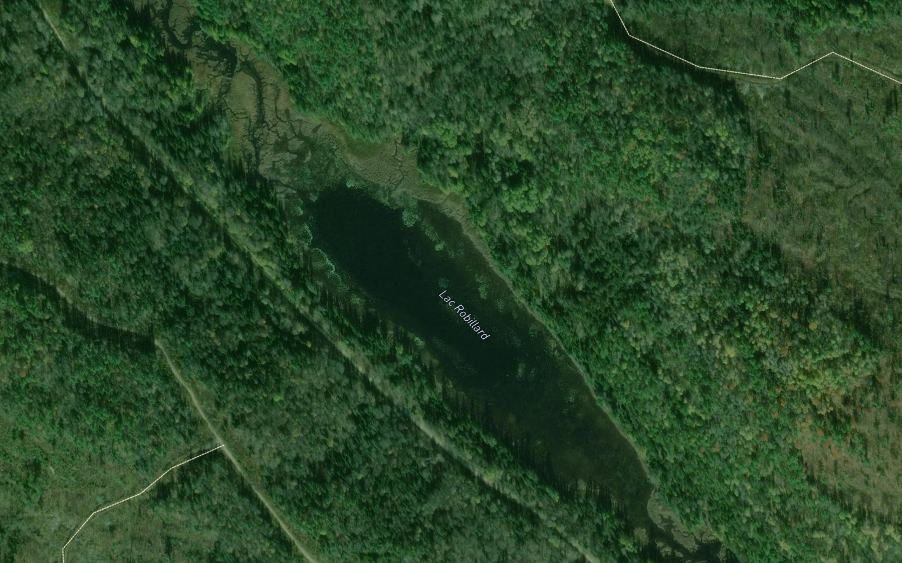 Satellite map of the Lac Robillard