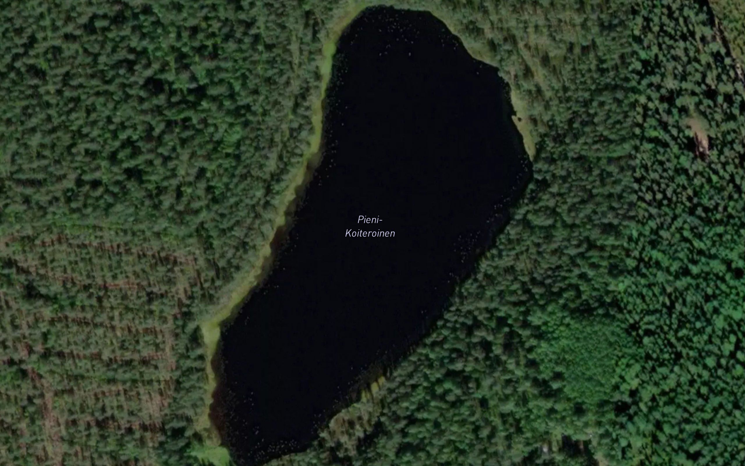 Pieni-Koiteroinen