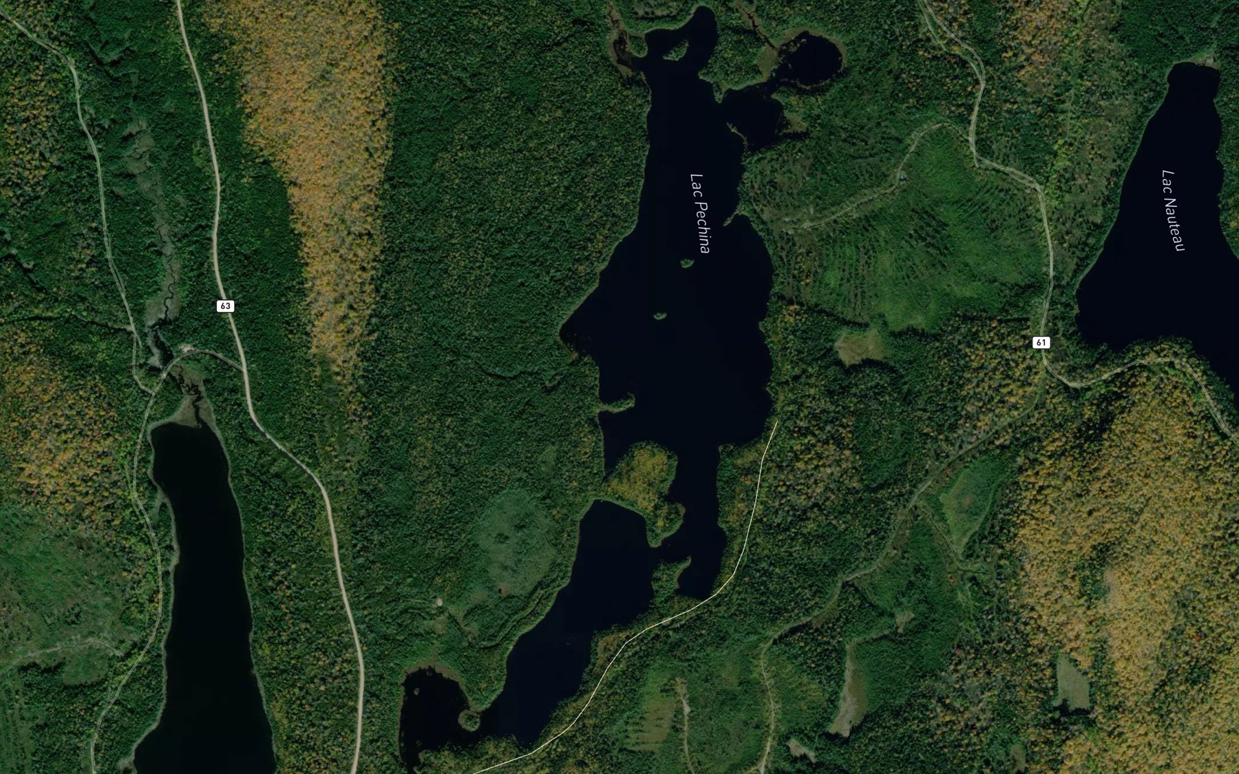 Satellite map of the Lac Pechina