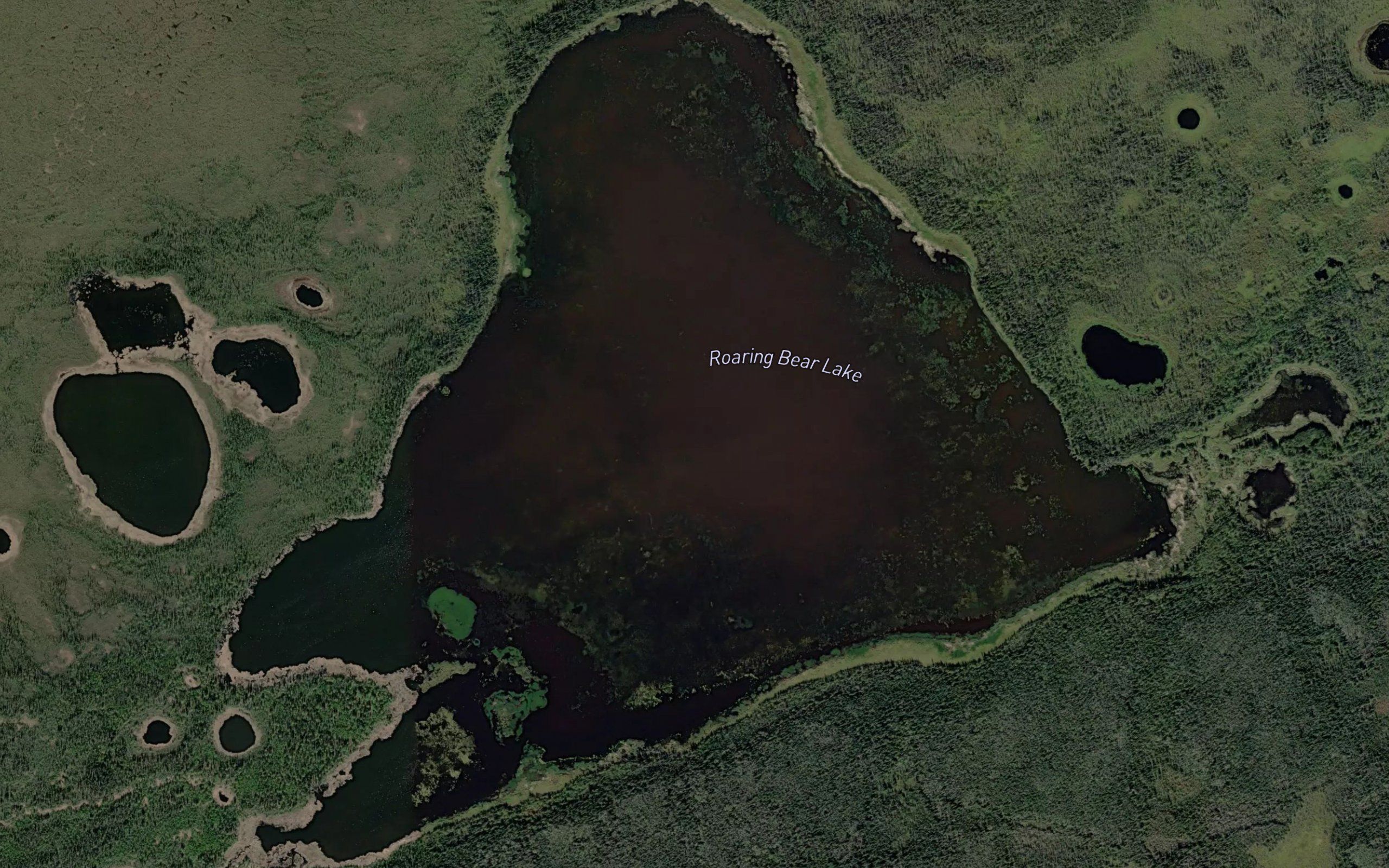 Roaring Bear Lake