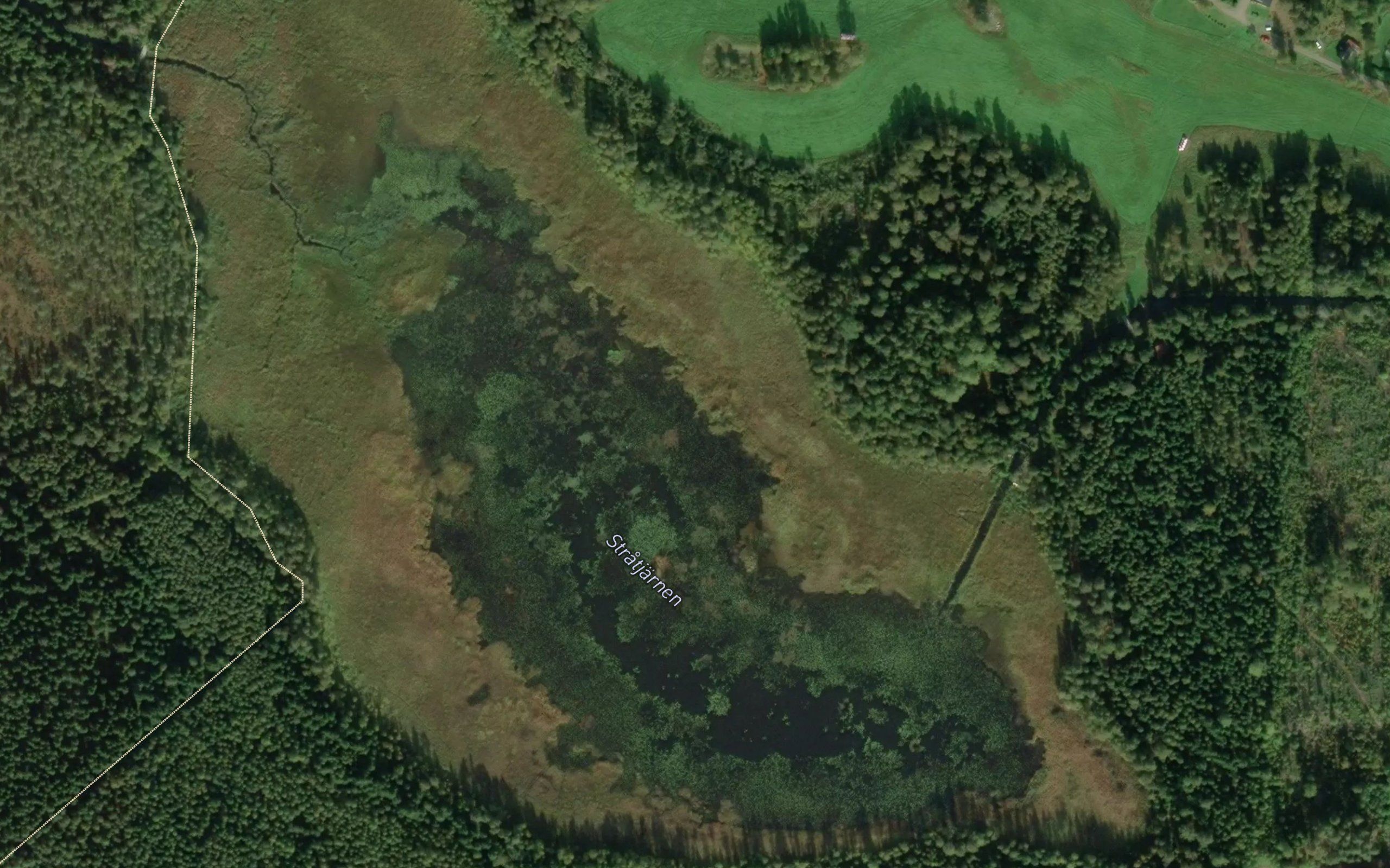 Stratjarn
