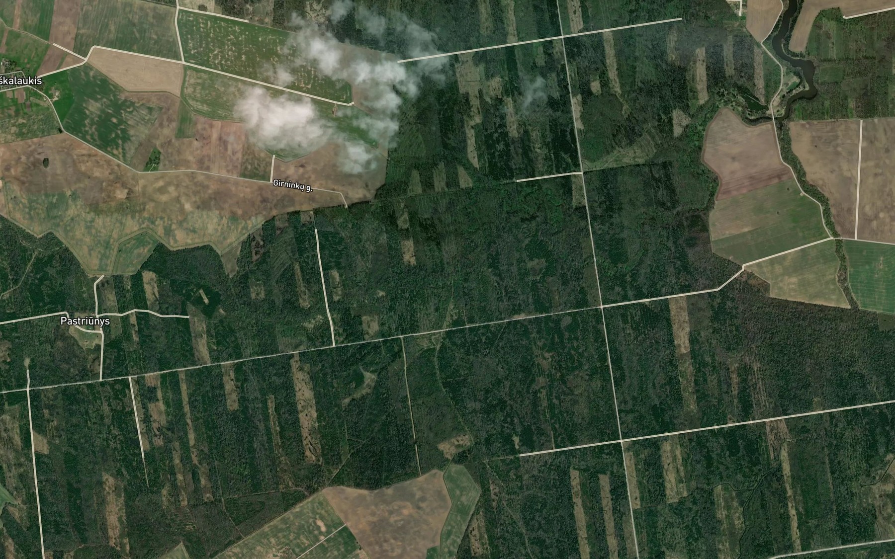 Satellite map of the Zvirblis