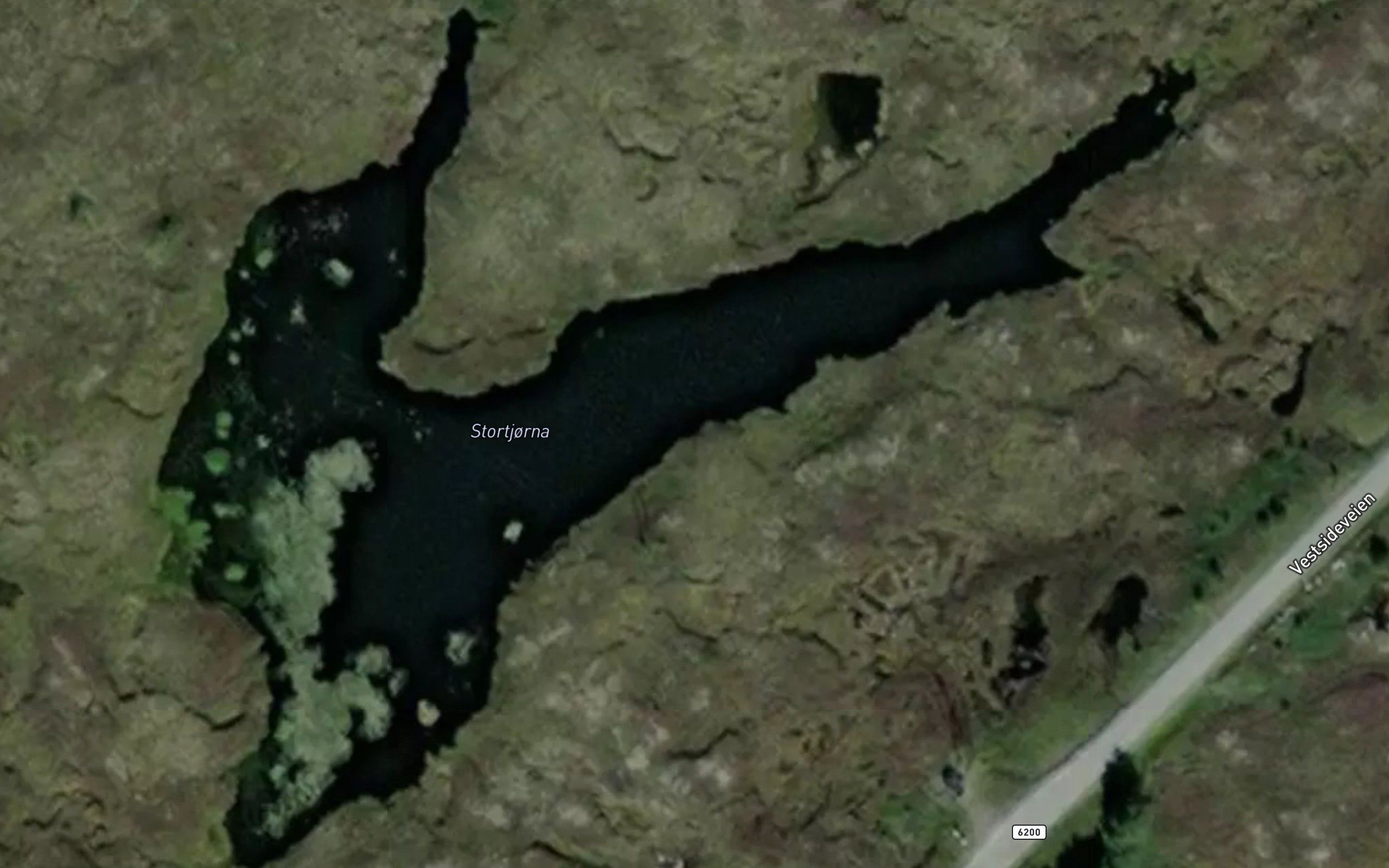 Stortjorna