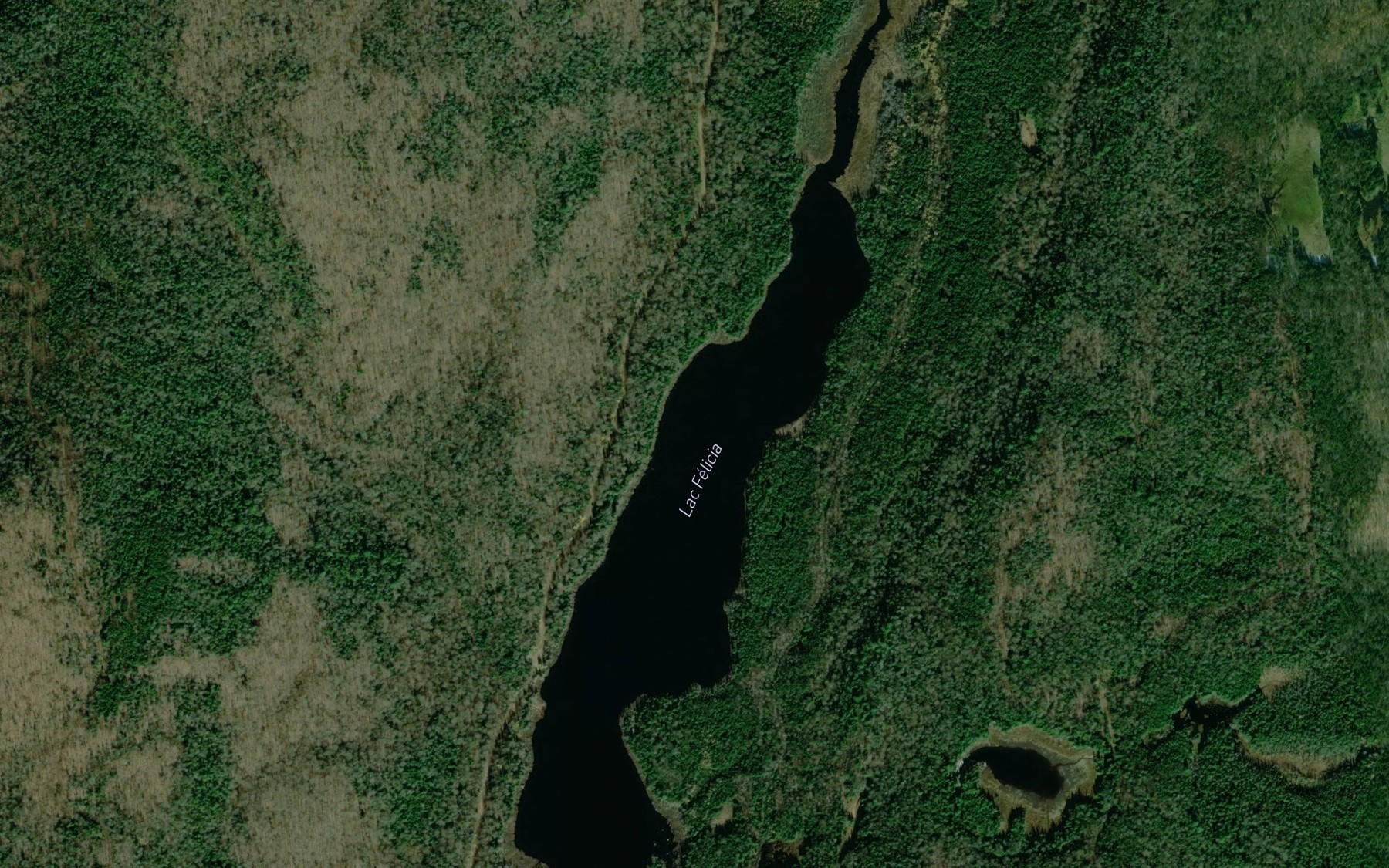 Satellite map of the Lac Felicia