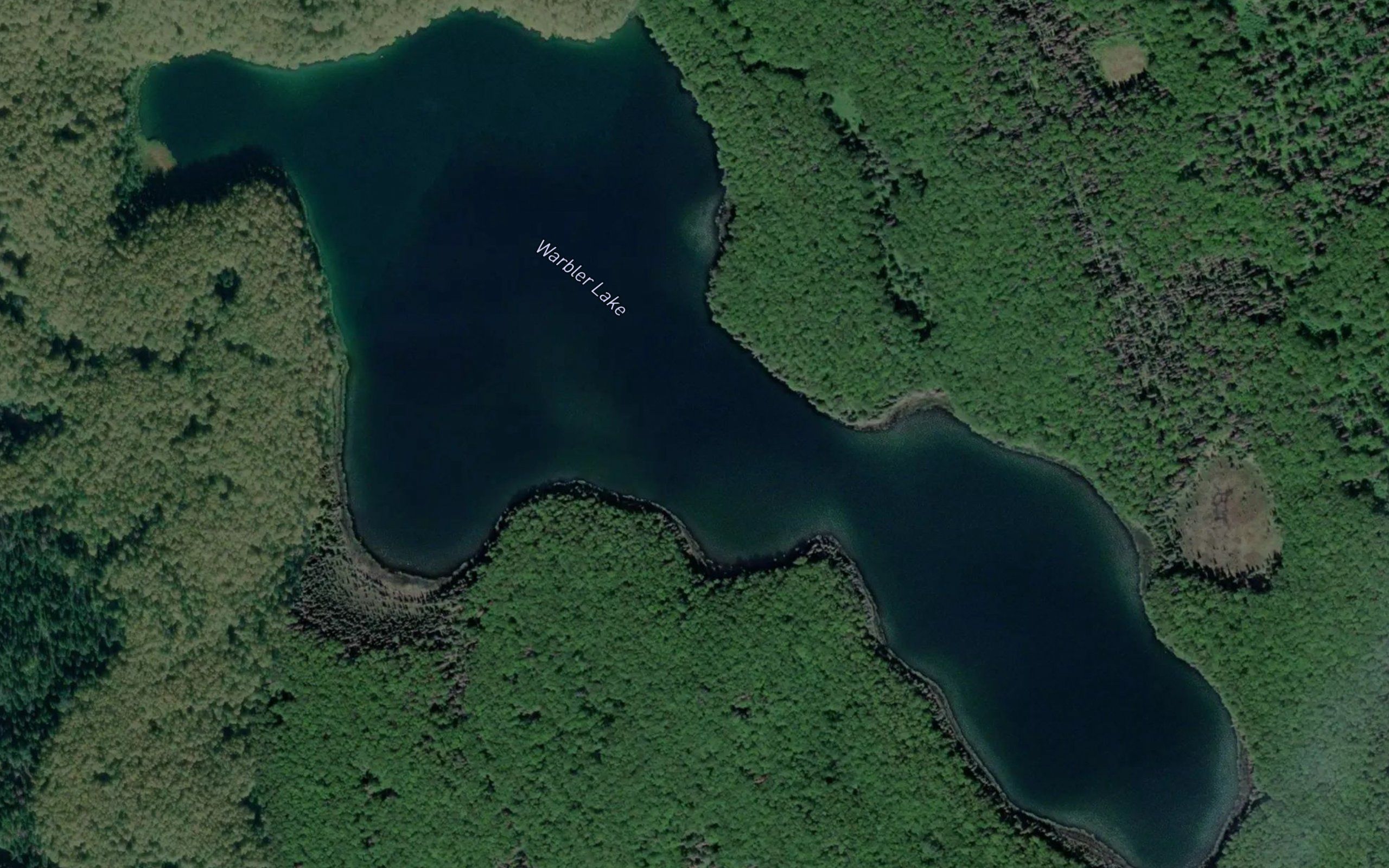Warbler Lake