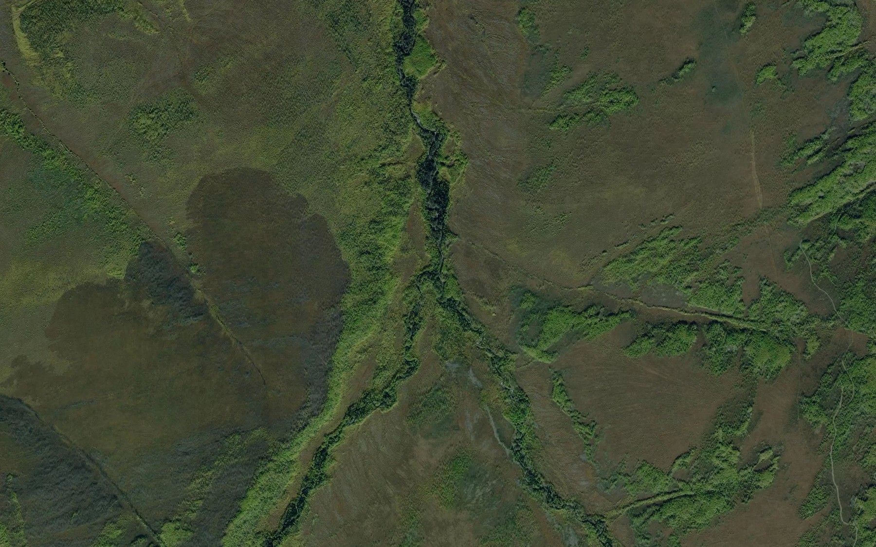 Satellite map of the Priiskovyy