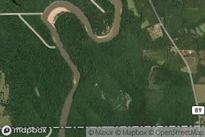 Wide Branch