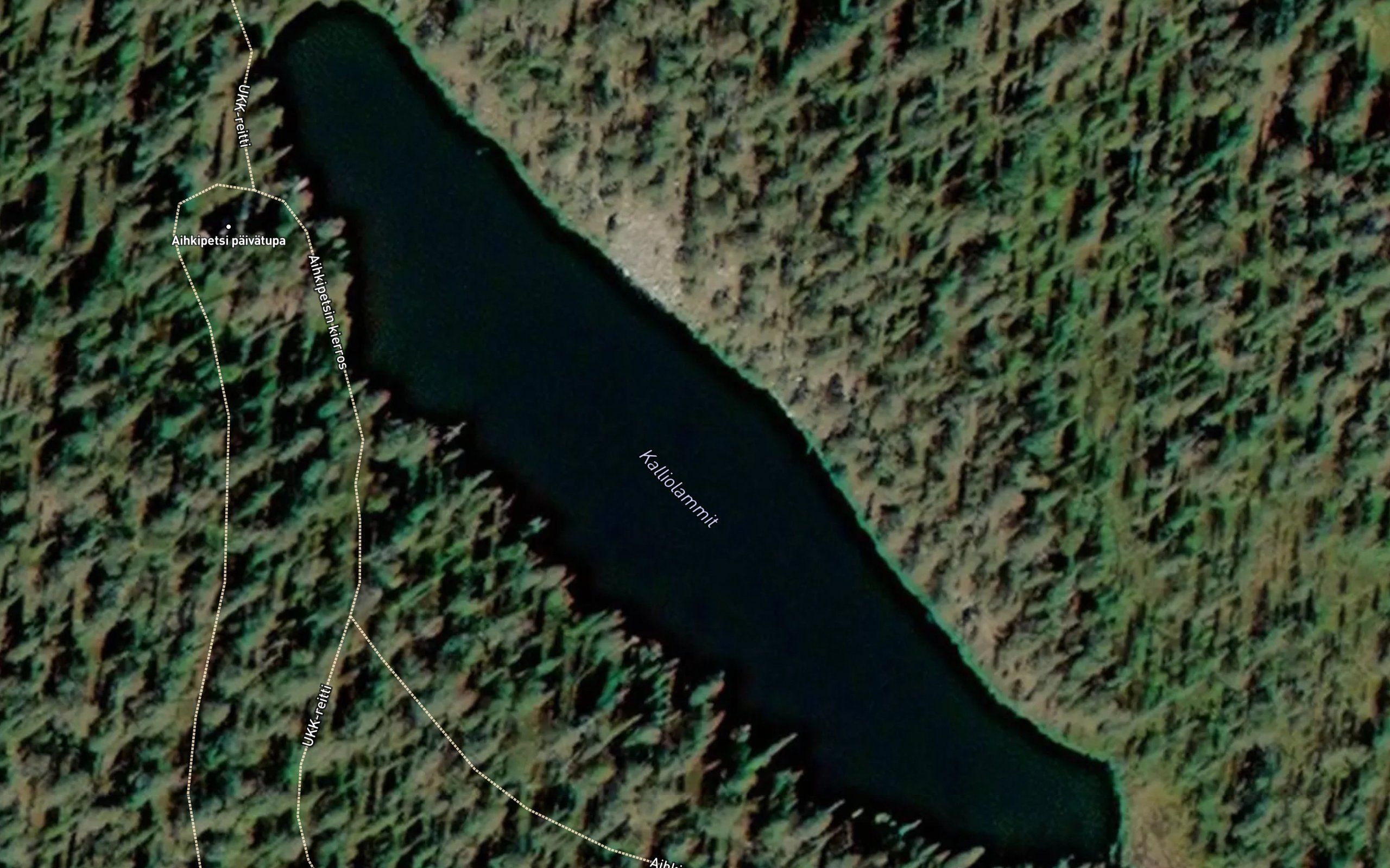 Kalliolammit