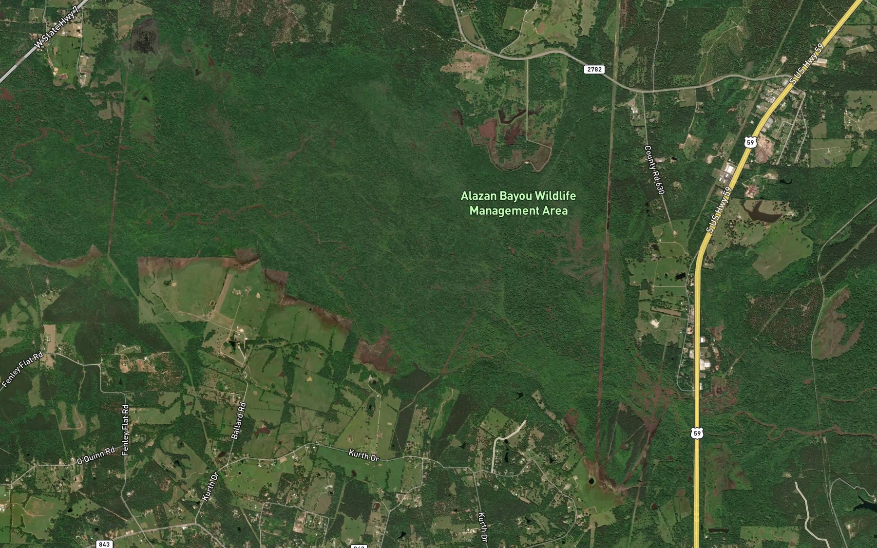 Satellite map of the Bayou Loco