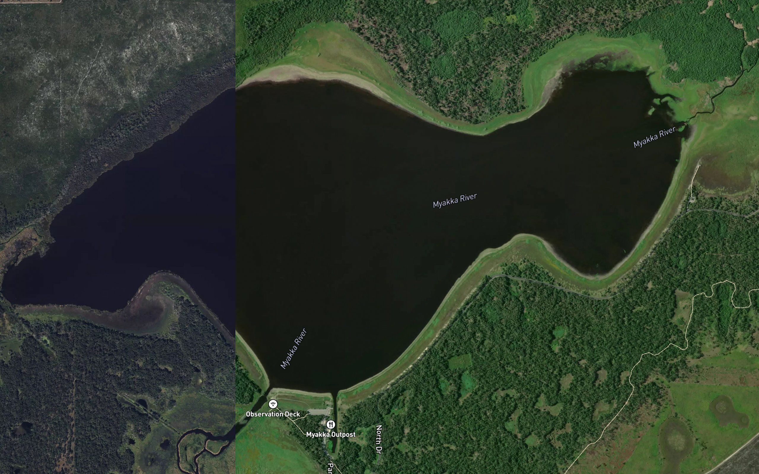 Lake Myakka