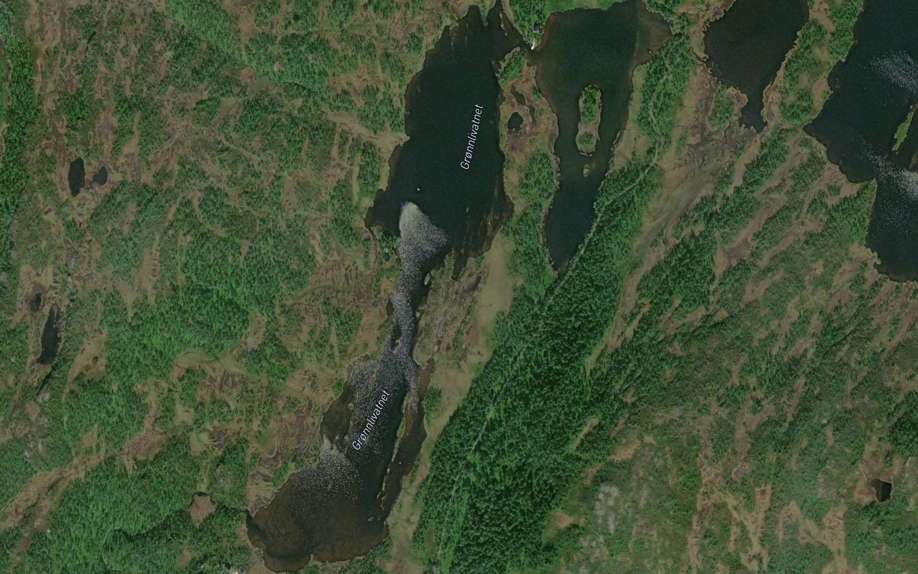 Satellite map of the Gronnlivatnet