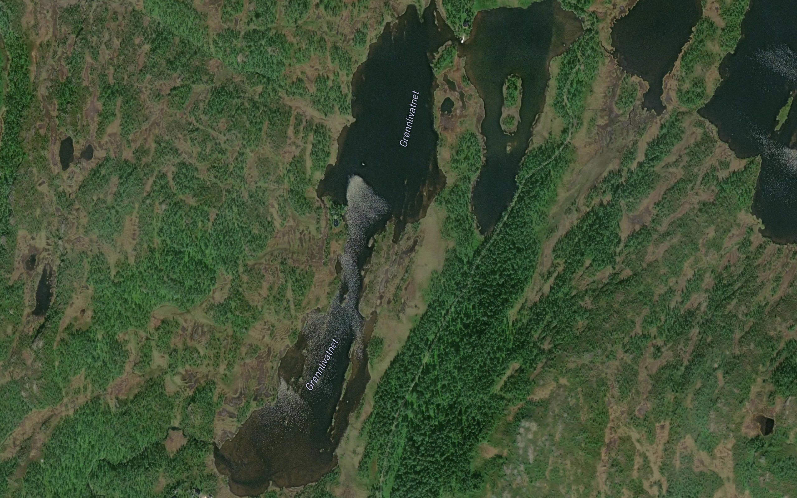 Gronnlivatnet