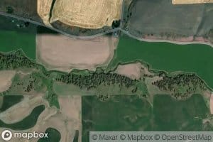 Frog Creek