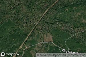 East Prong McKim Creek