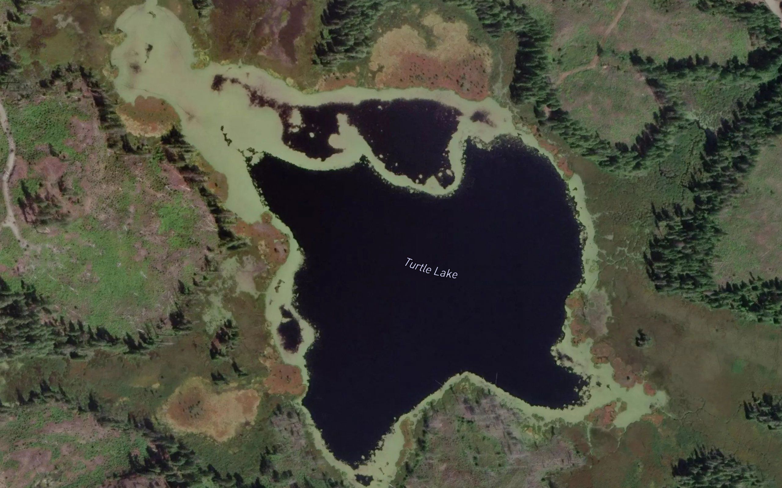 Turtle Lake
