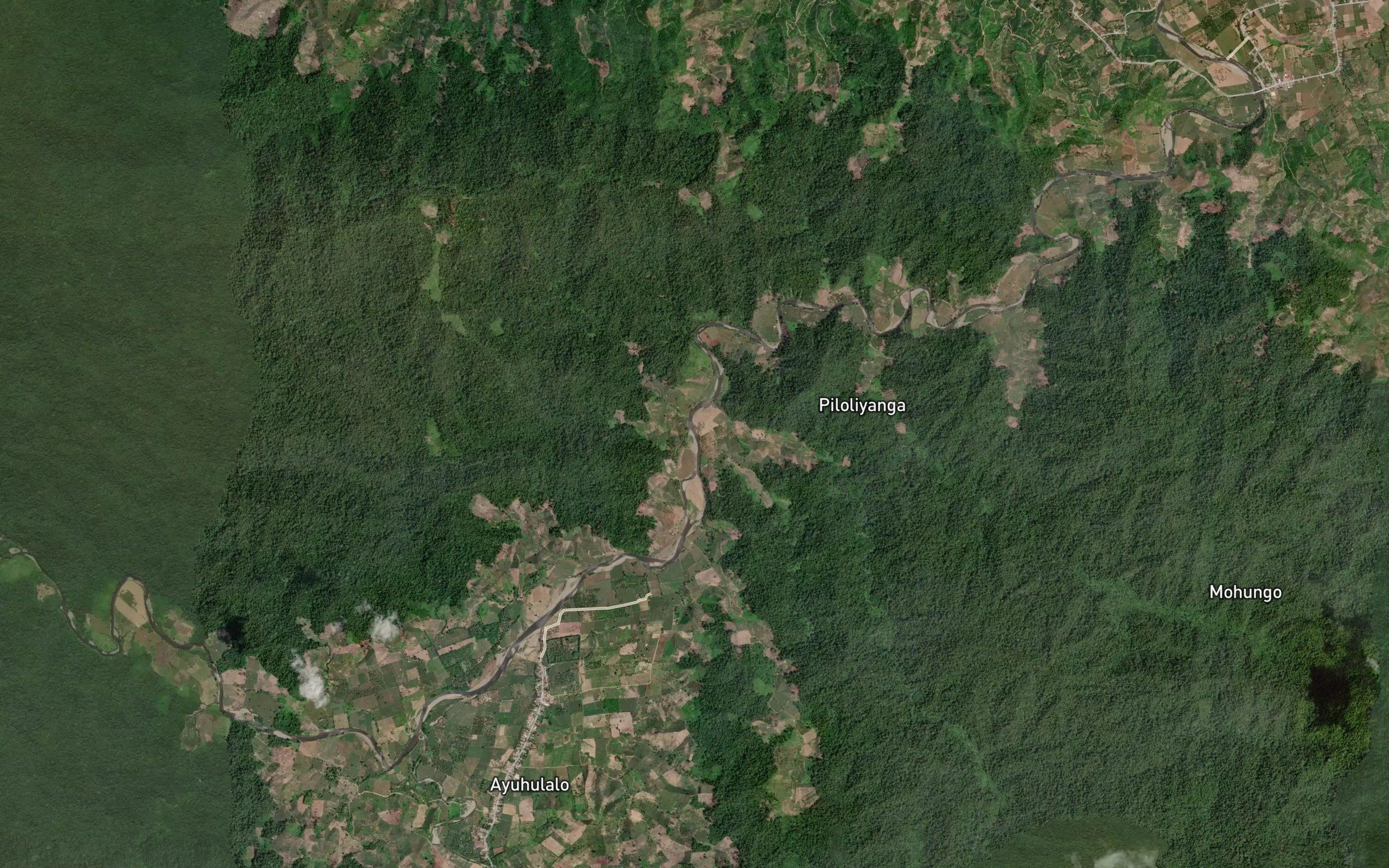 Dutula Landolo