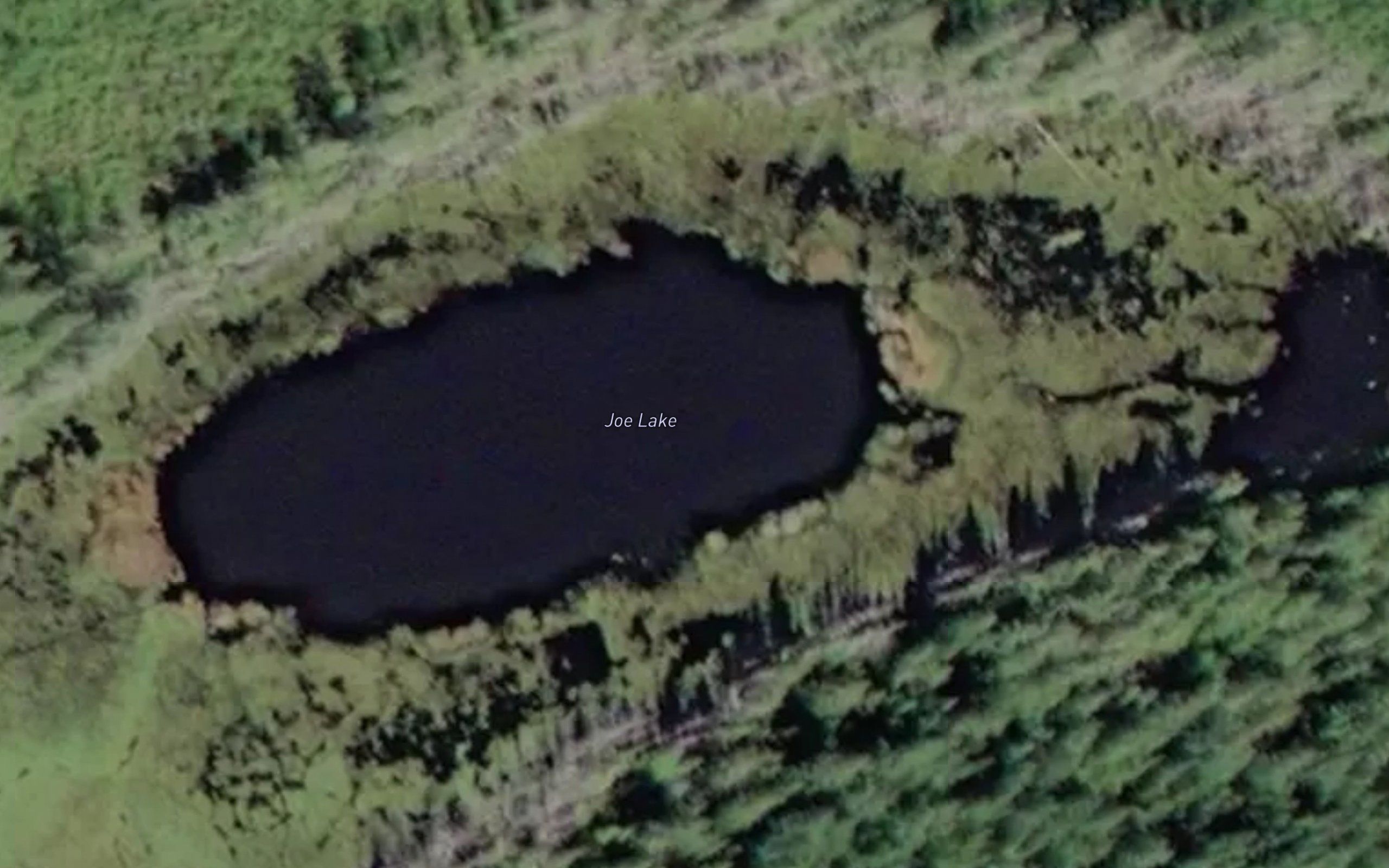 Joe Lake