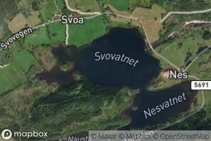 Svovatnet
