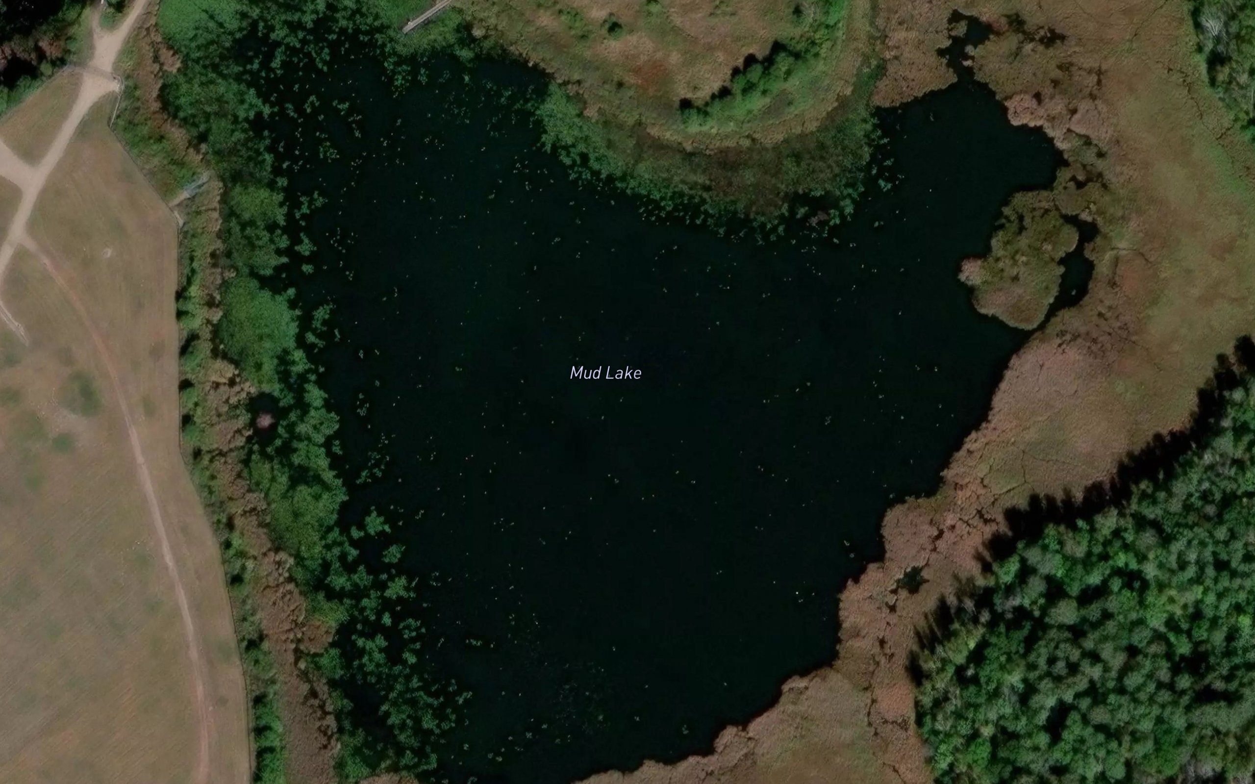 Mud Lake