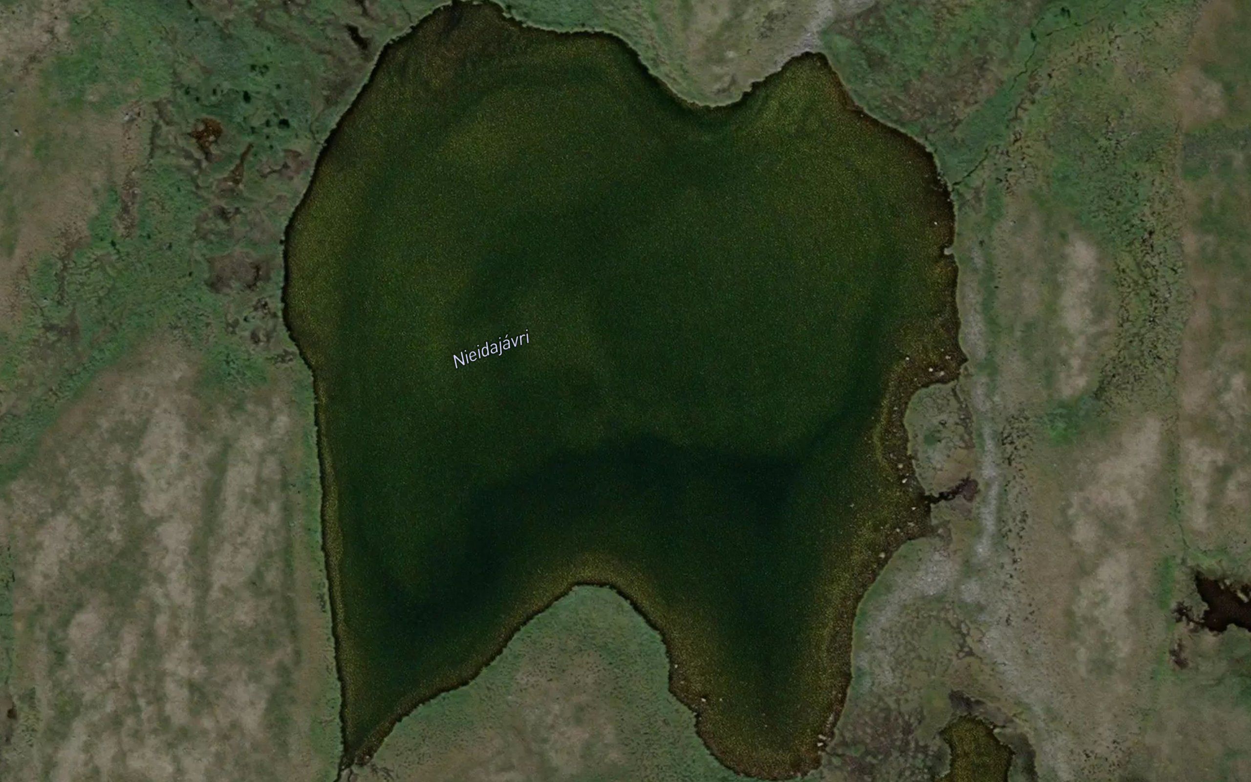 Nieidajavri