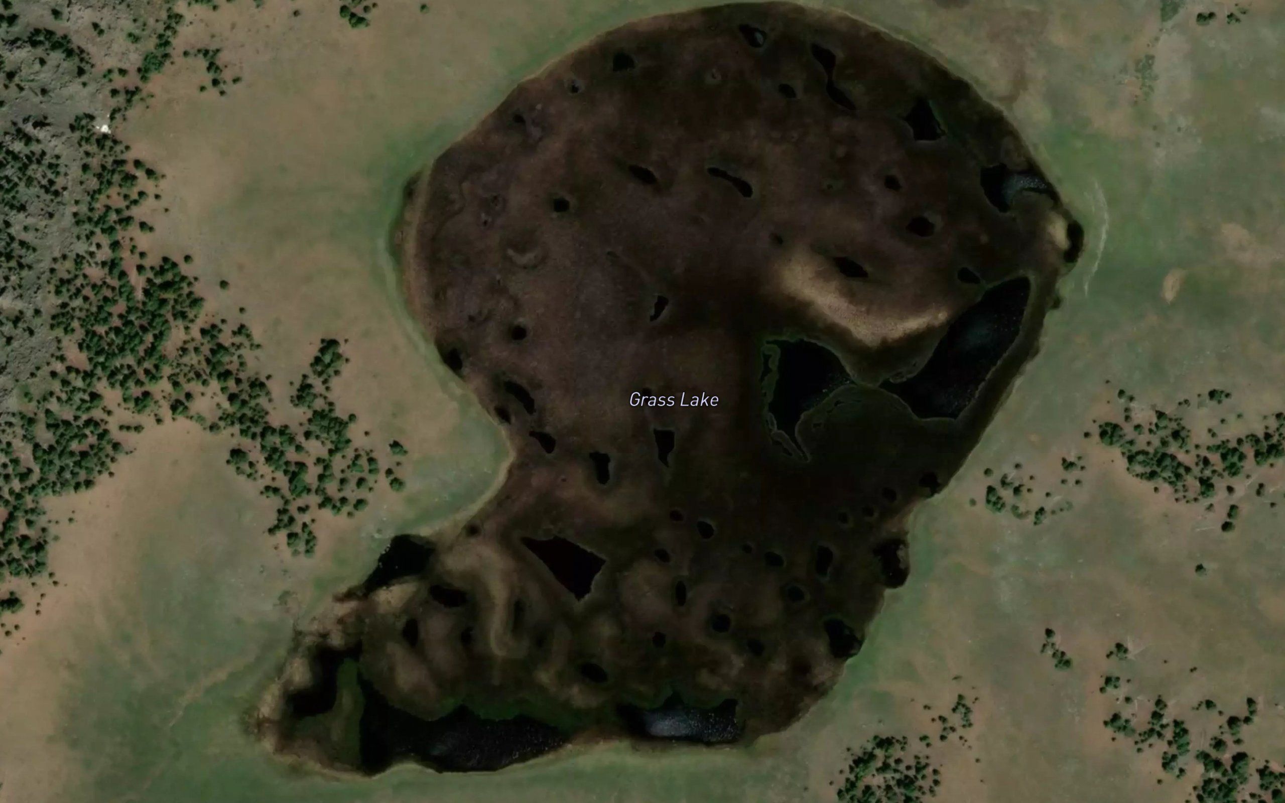 Grass Lake