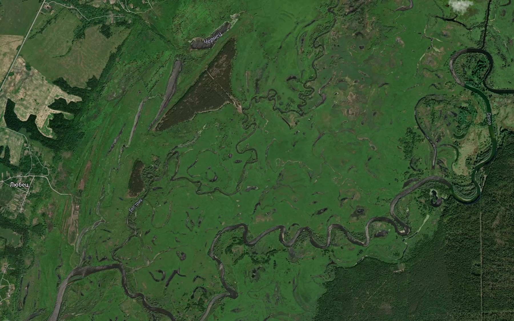 Satellite map of the Staraya