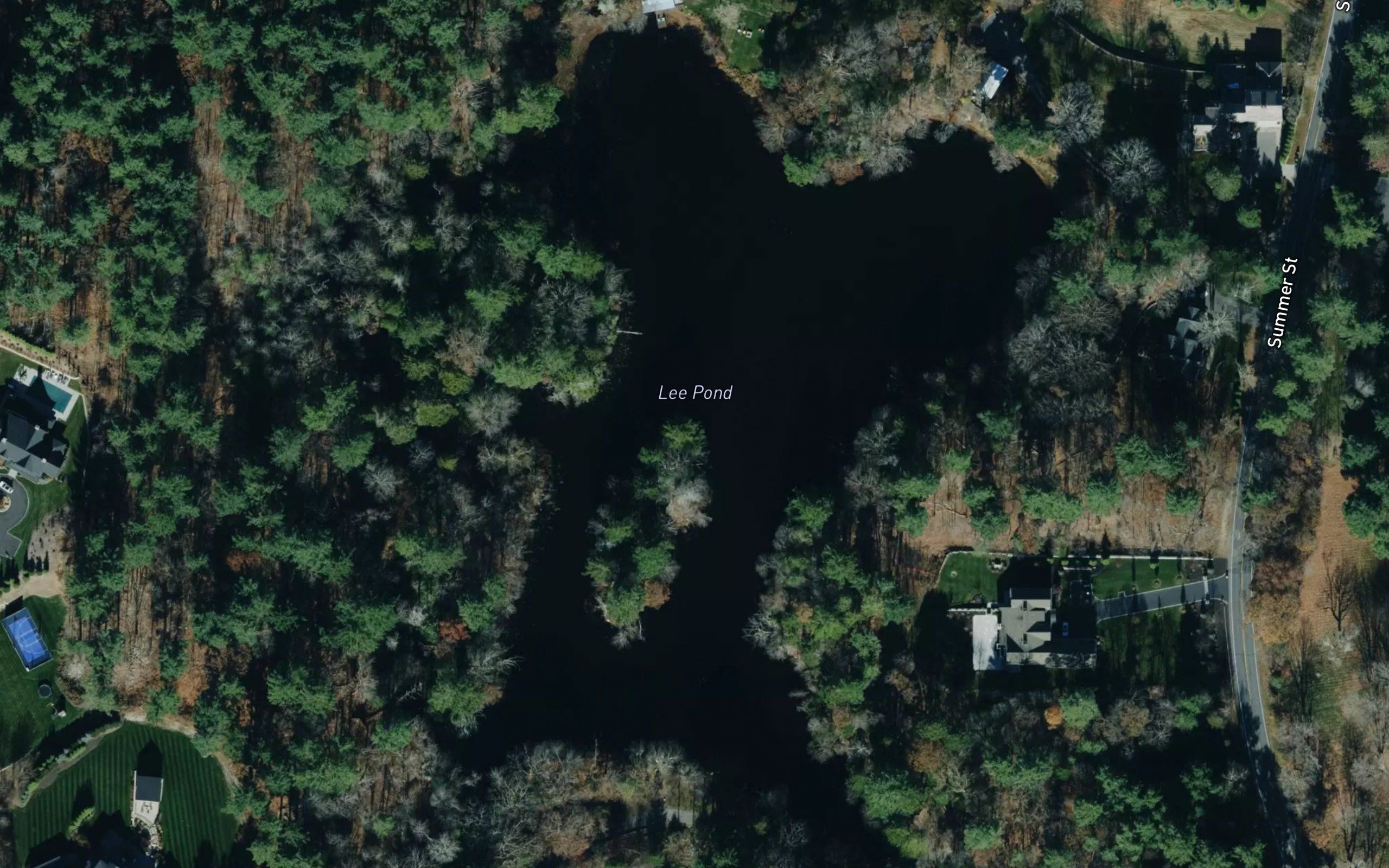 Lee Pond
