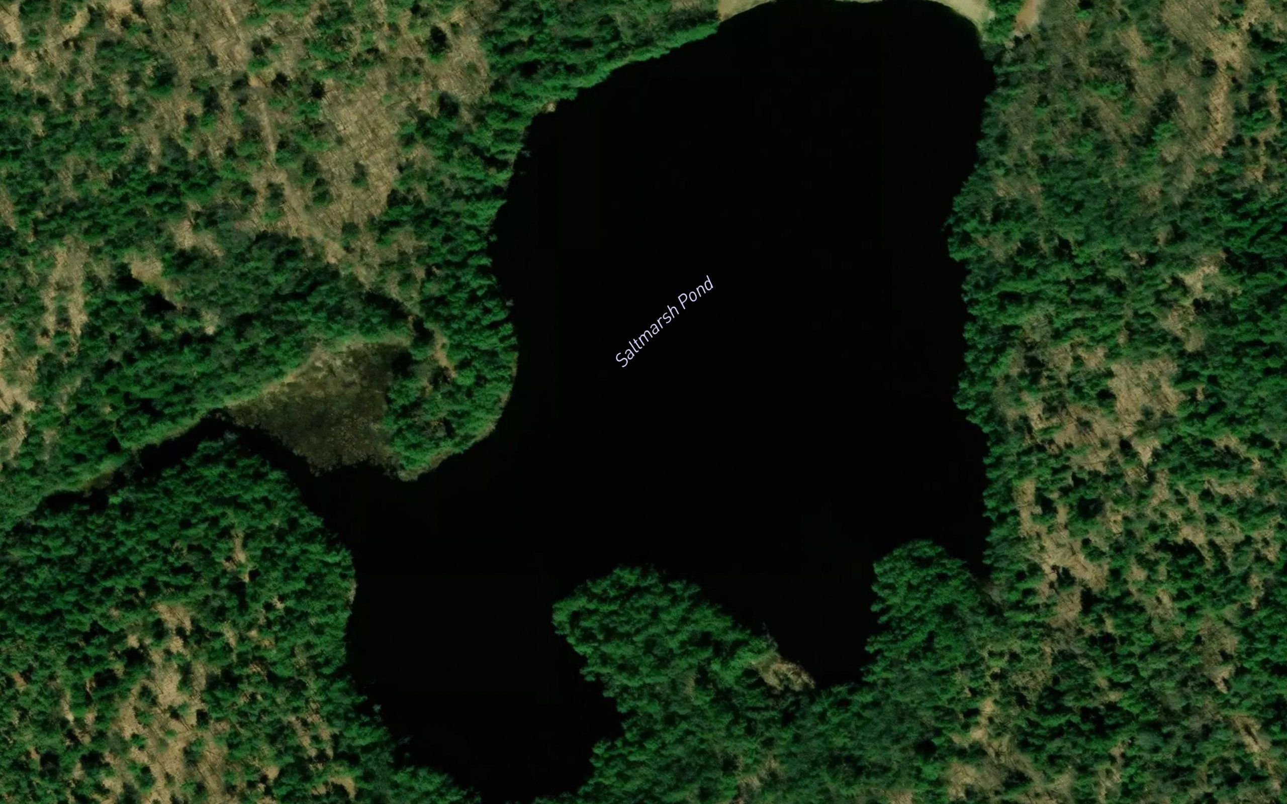 Saltmarsh Pond