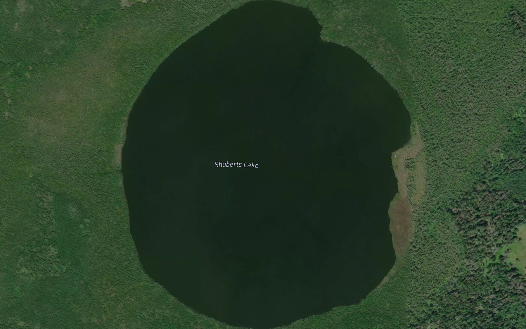 Satellite map of the Shuberts Lake
