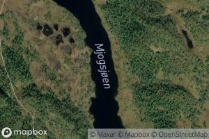 Mjogsjoen